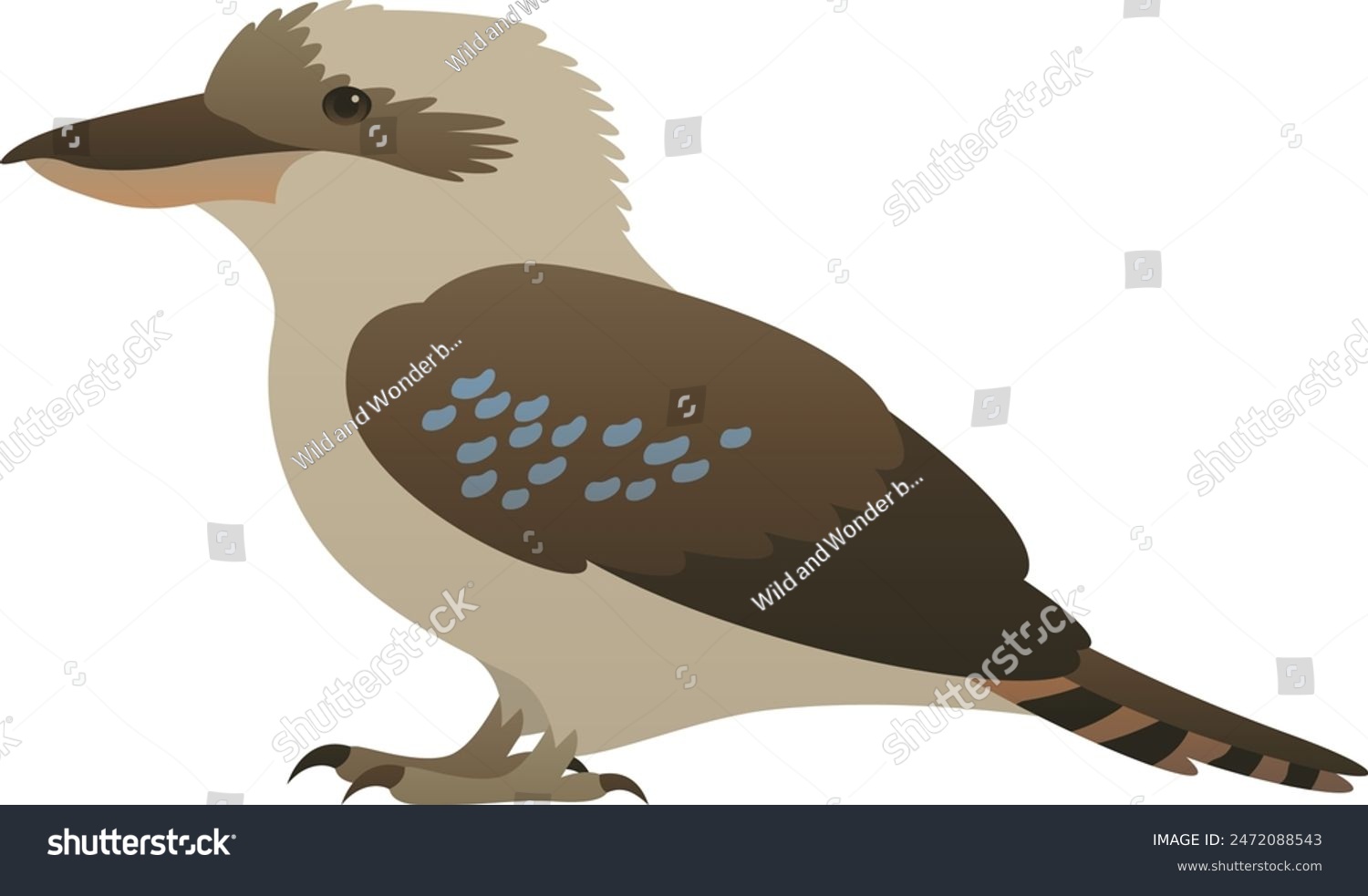recommend clip art: Color vector illustration of kookaburra. Wild bird isolated on white background. Wildlife of Australia and New Guinea.
