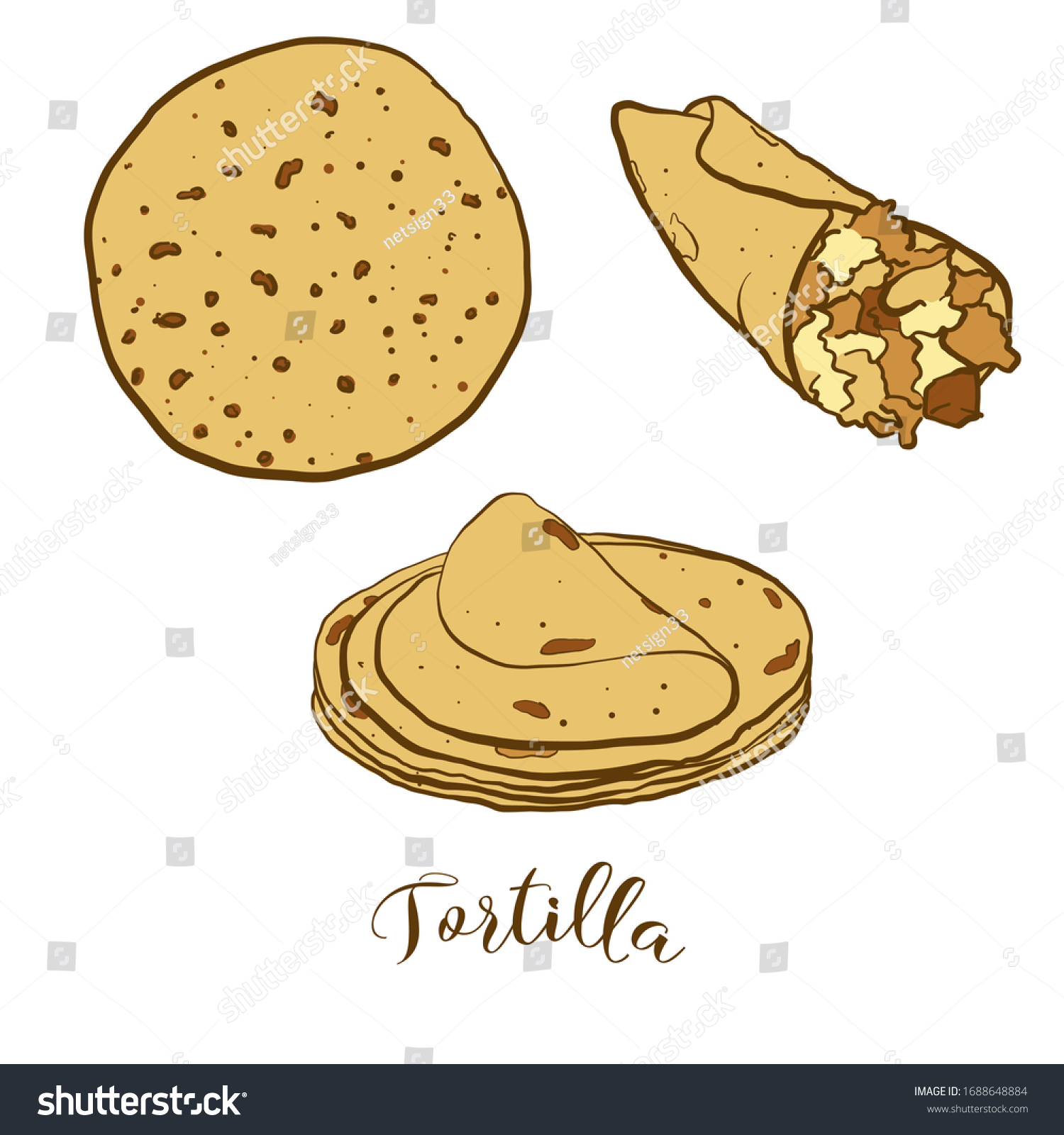 Colored Drawing Tortilla Bread Vector Illustration Stock Vector