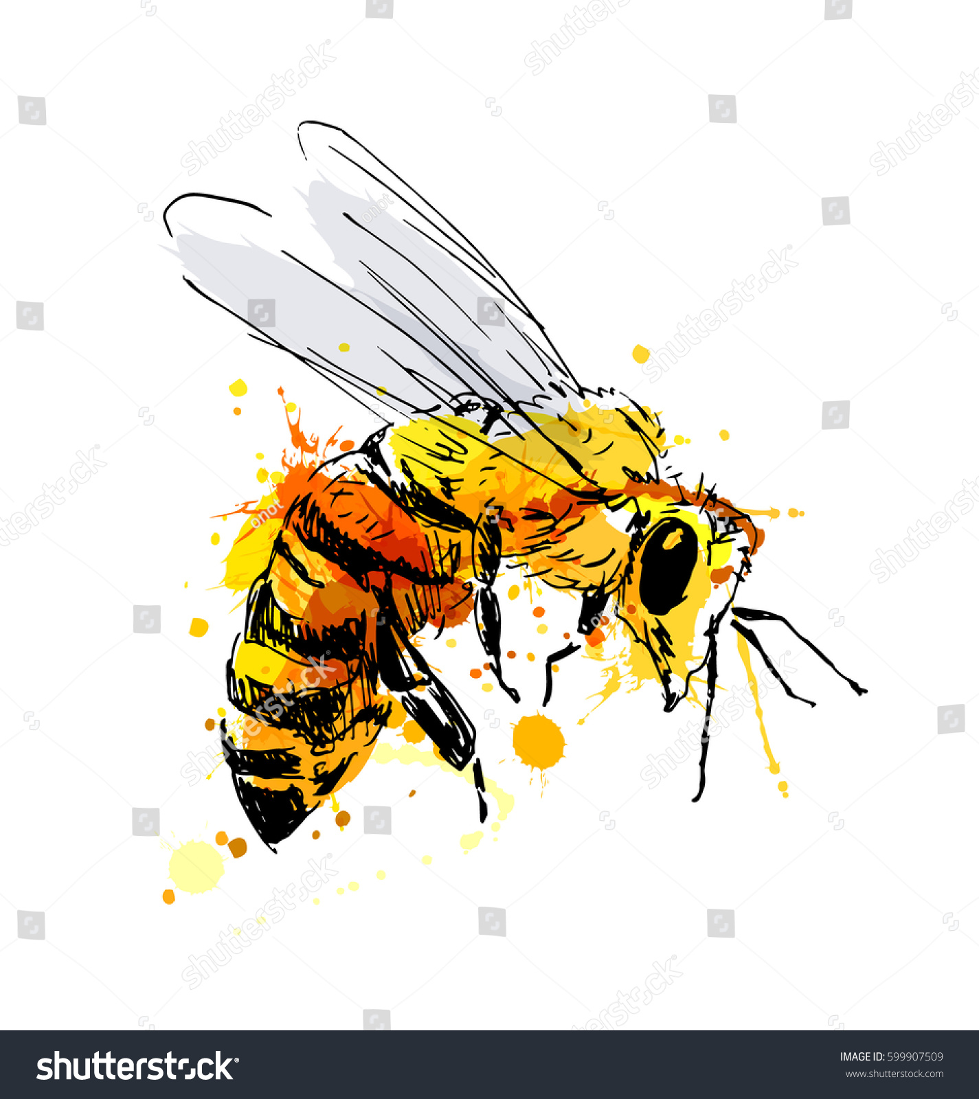 Colored Hand Sketch Flying Bee Vector Stock Vector 599907509 - Shutterstock