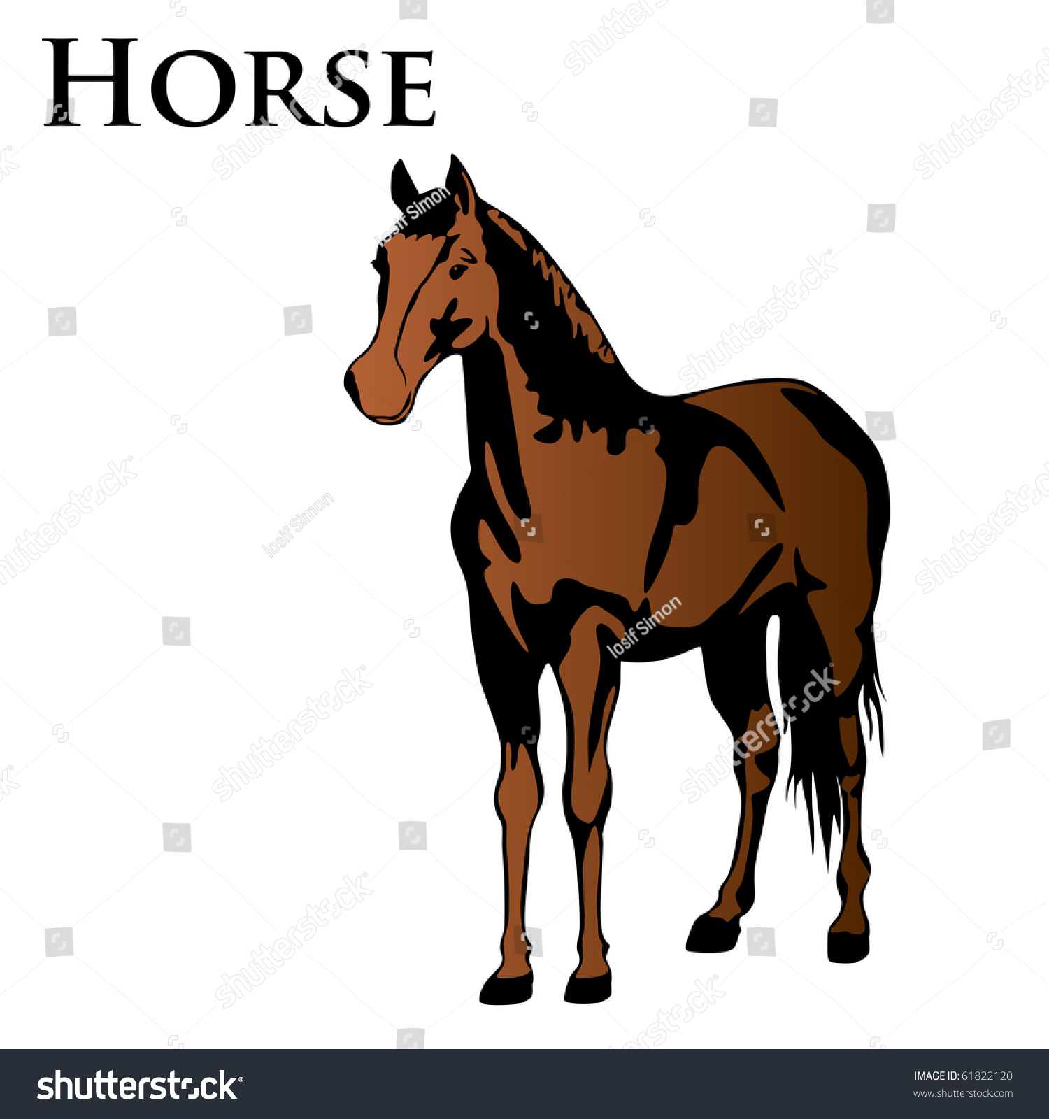 Colored Horse Vector Illustration - 61822120 : Shutterstock