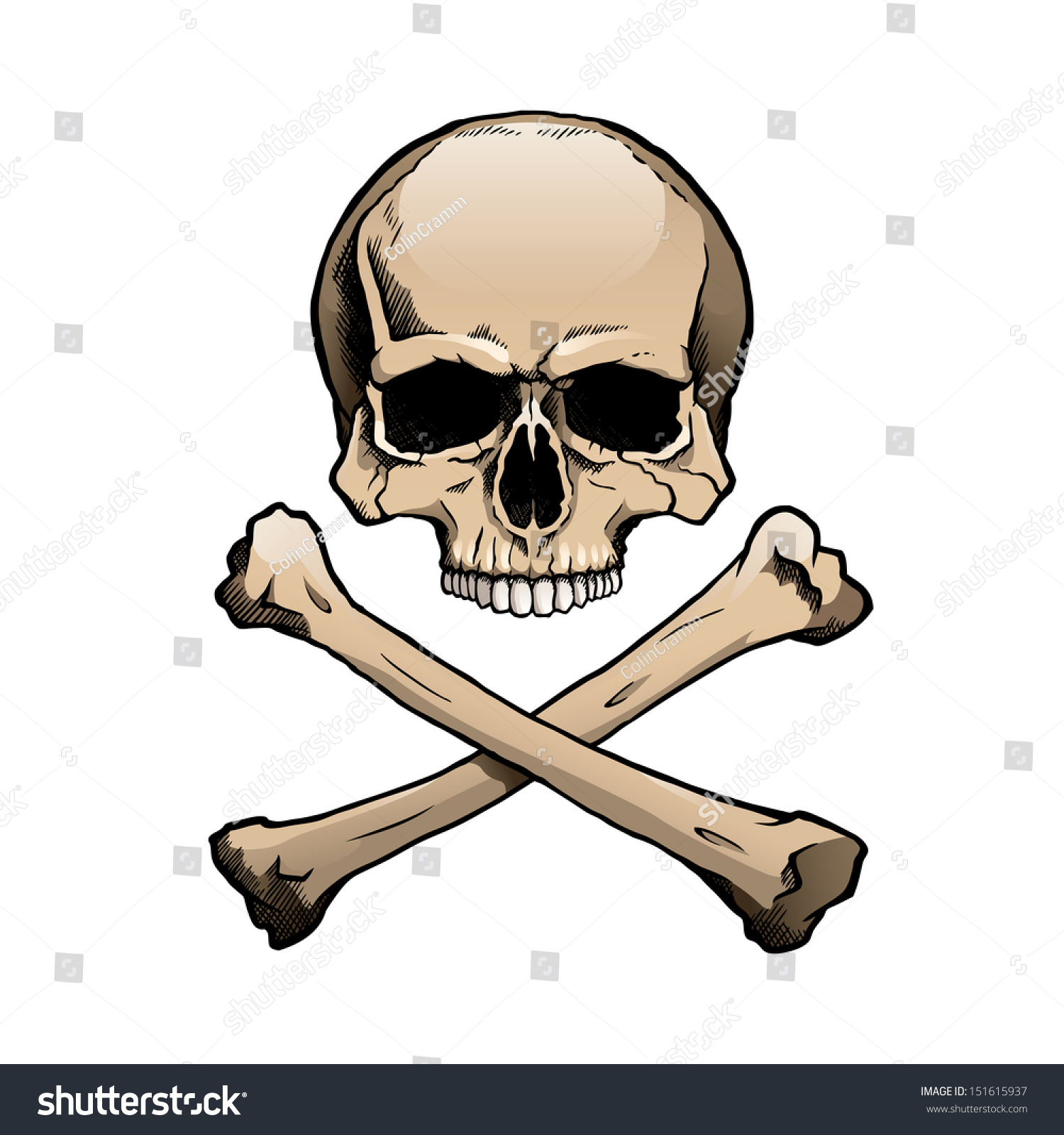 vector shutterstock skull Colored 151615937 Stock Crossbones Vector Skull Human