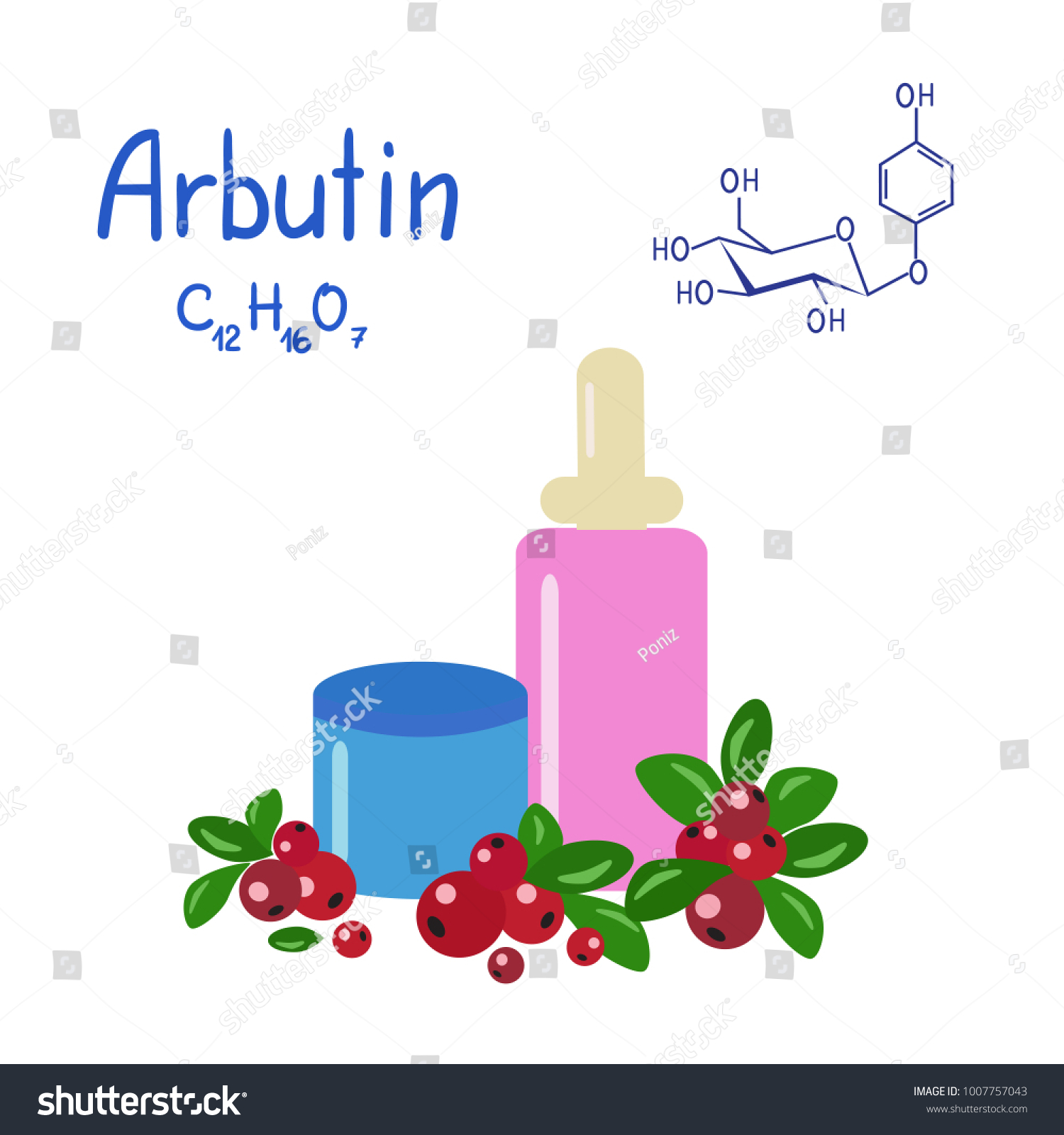 SVG of Colored jars and bottles of cream with the arbutin. The berries of bearberry and cowberry. Chemical formula and graphical scheme of arbutin. Vector  svg