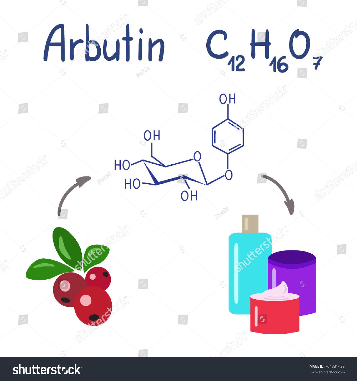 SVG of Colored jars and bottles of cream with the arbutin. The berries of bearberry and cowberry. Chemical formula and graphical scheme of arbutin. Vector isolated svg