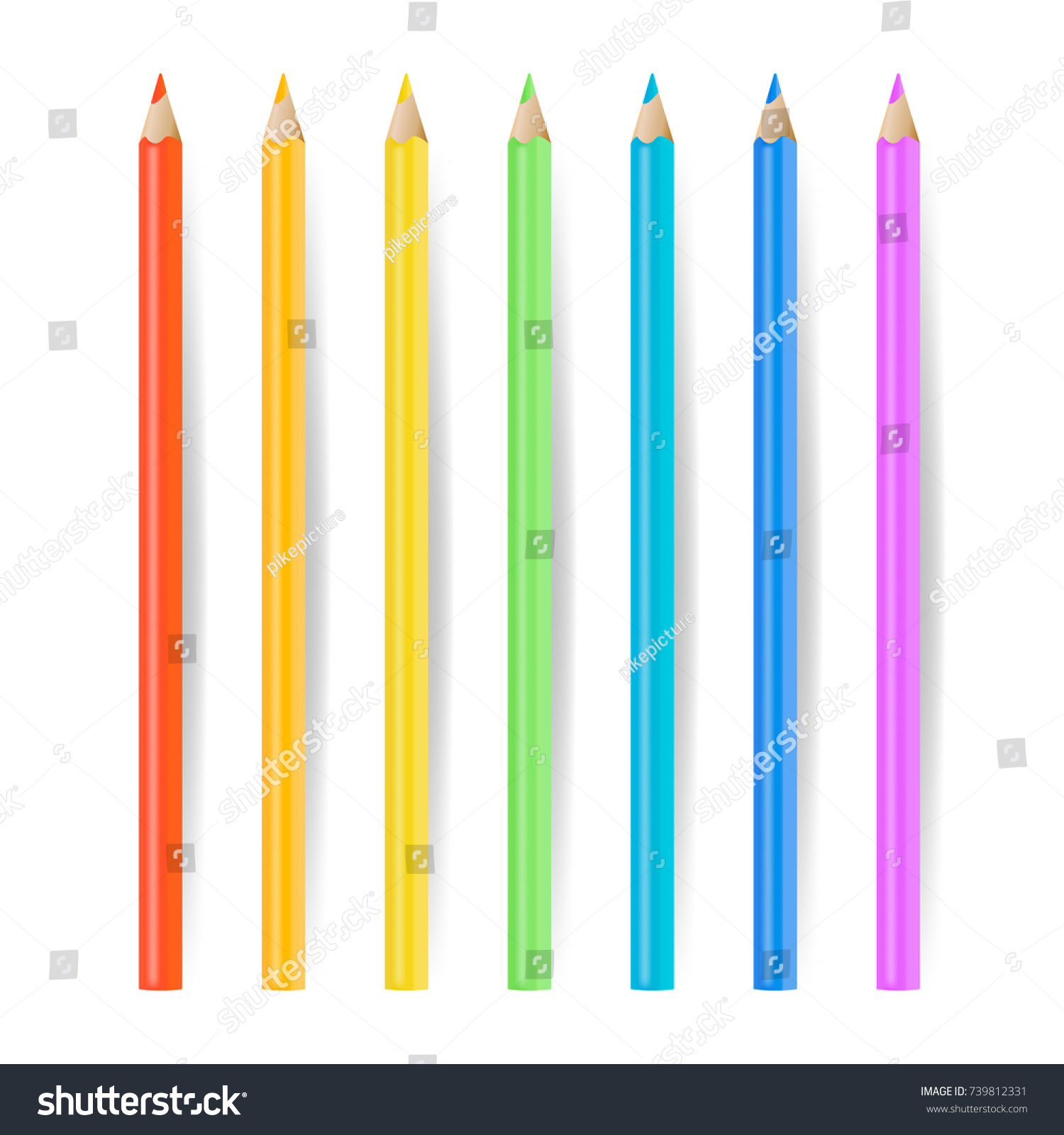 Colored Pencils Set Vector Realistic School Stock Vector (Royalty Free ...