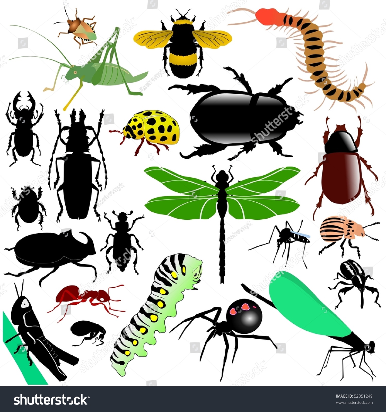SVG of colored vector set of insects svg