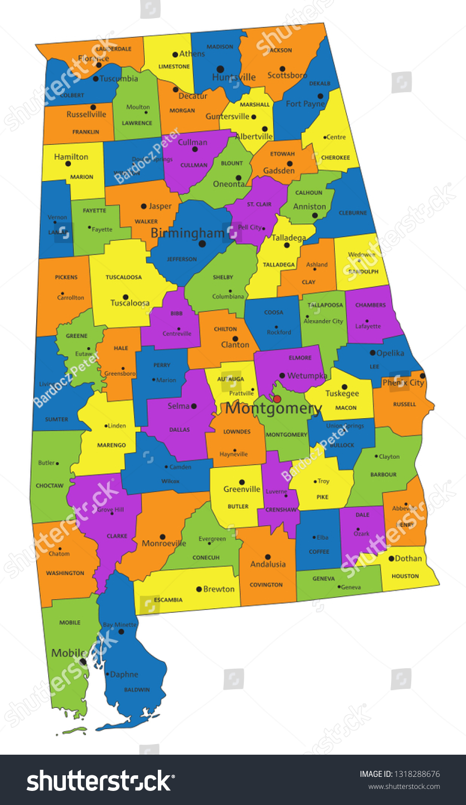 Colorful Alabama Political Map Clearly Labeled Stock Vector (Royalty