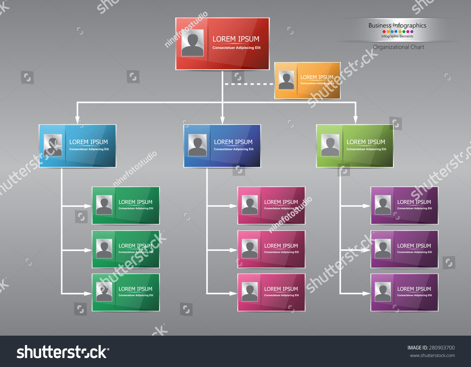 Colorful Card Organizational Chart Infographic, Business Structure ...