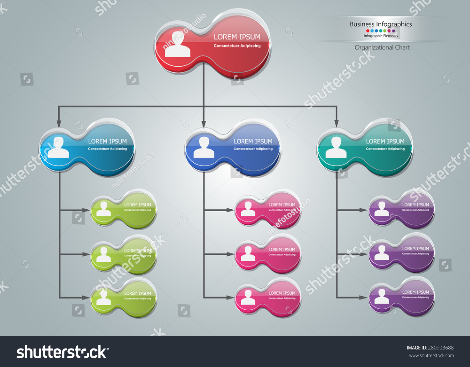 Colorful Circle Organizational Chart Infographic, Business Structure ...