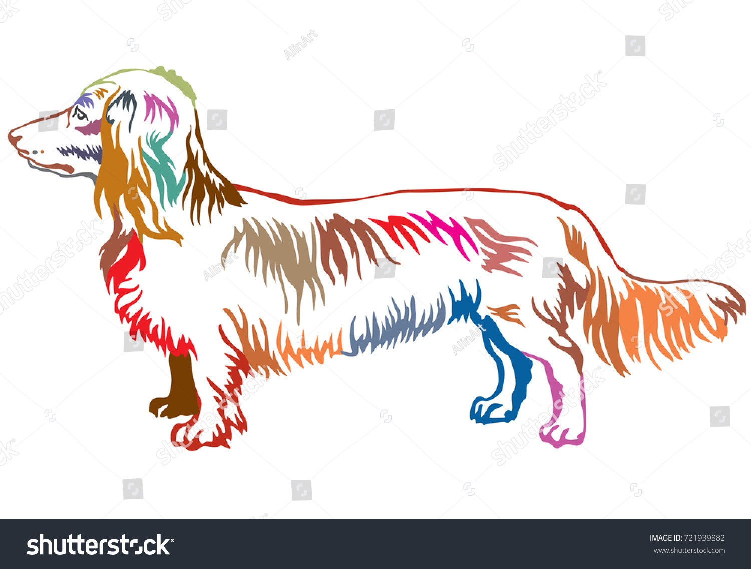 SVG of Colorful contour decorative portrait of standing in profile dog long-haired Dachshund, vector isolated illustration on white background svg