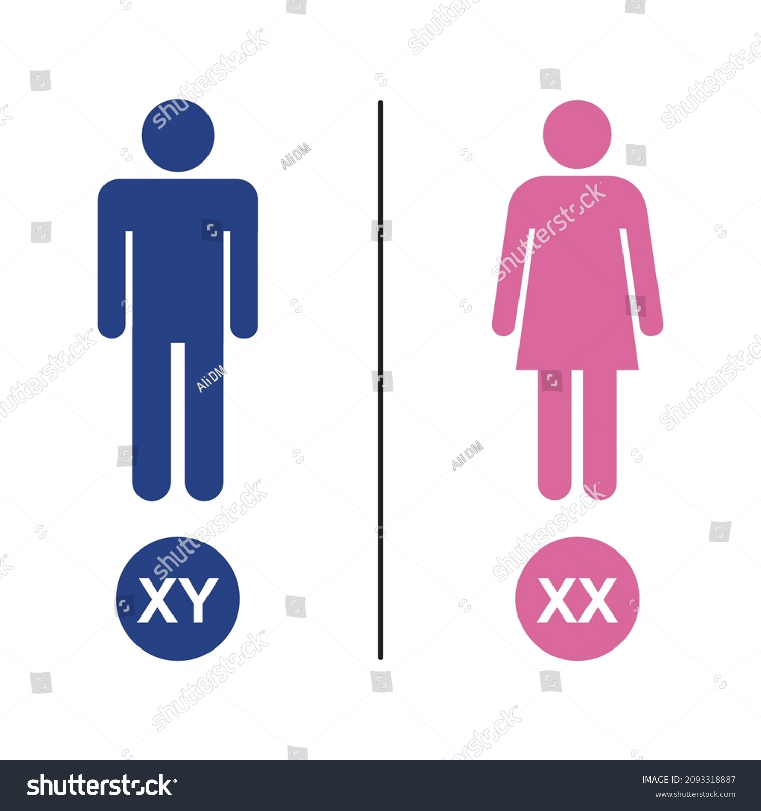 Colorful Illustration Human Sex Determination Xy Stock Vector Royalty Free 2093318887 3921