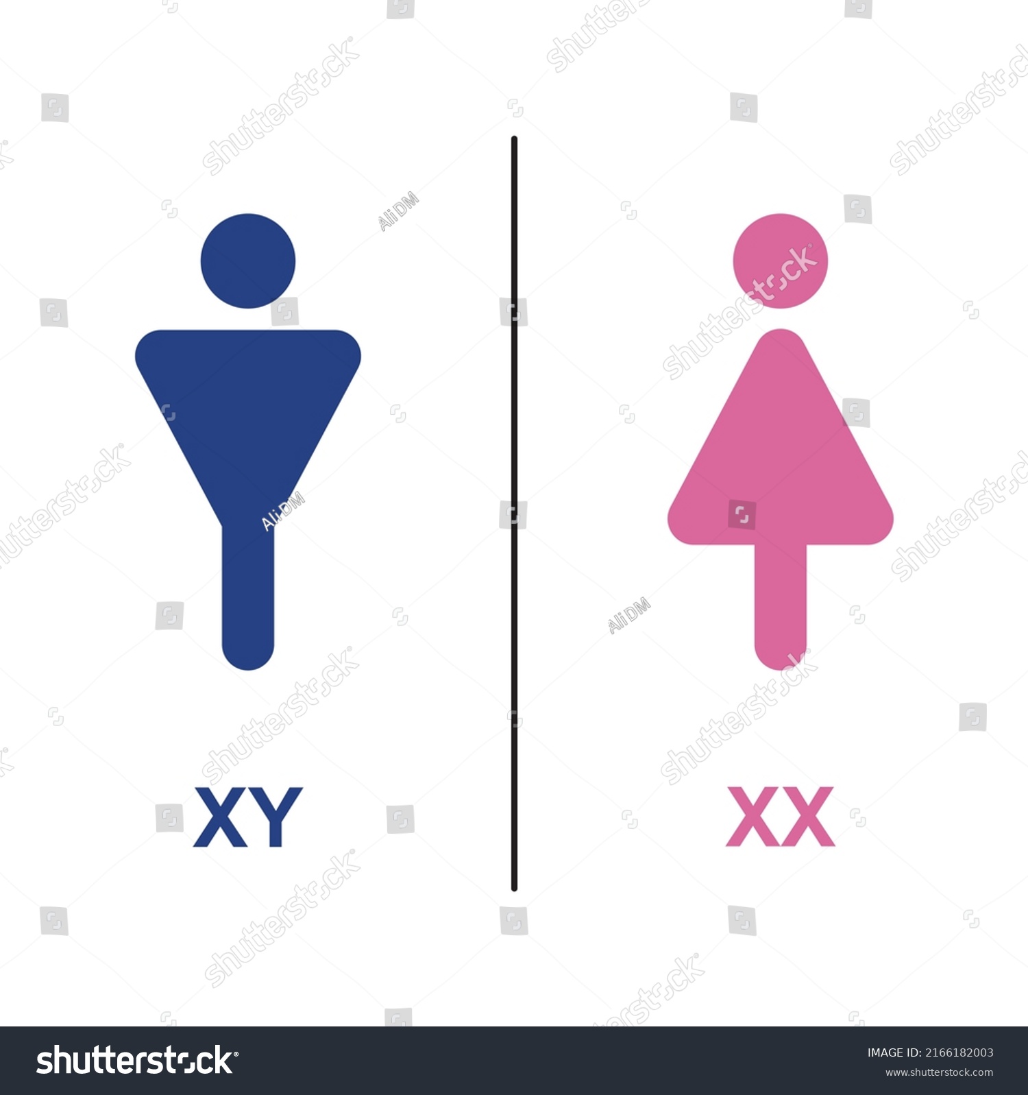 Colorful Illustration Human Sex Determination Xy Stock Vector Royalty Free 2166182003