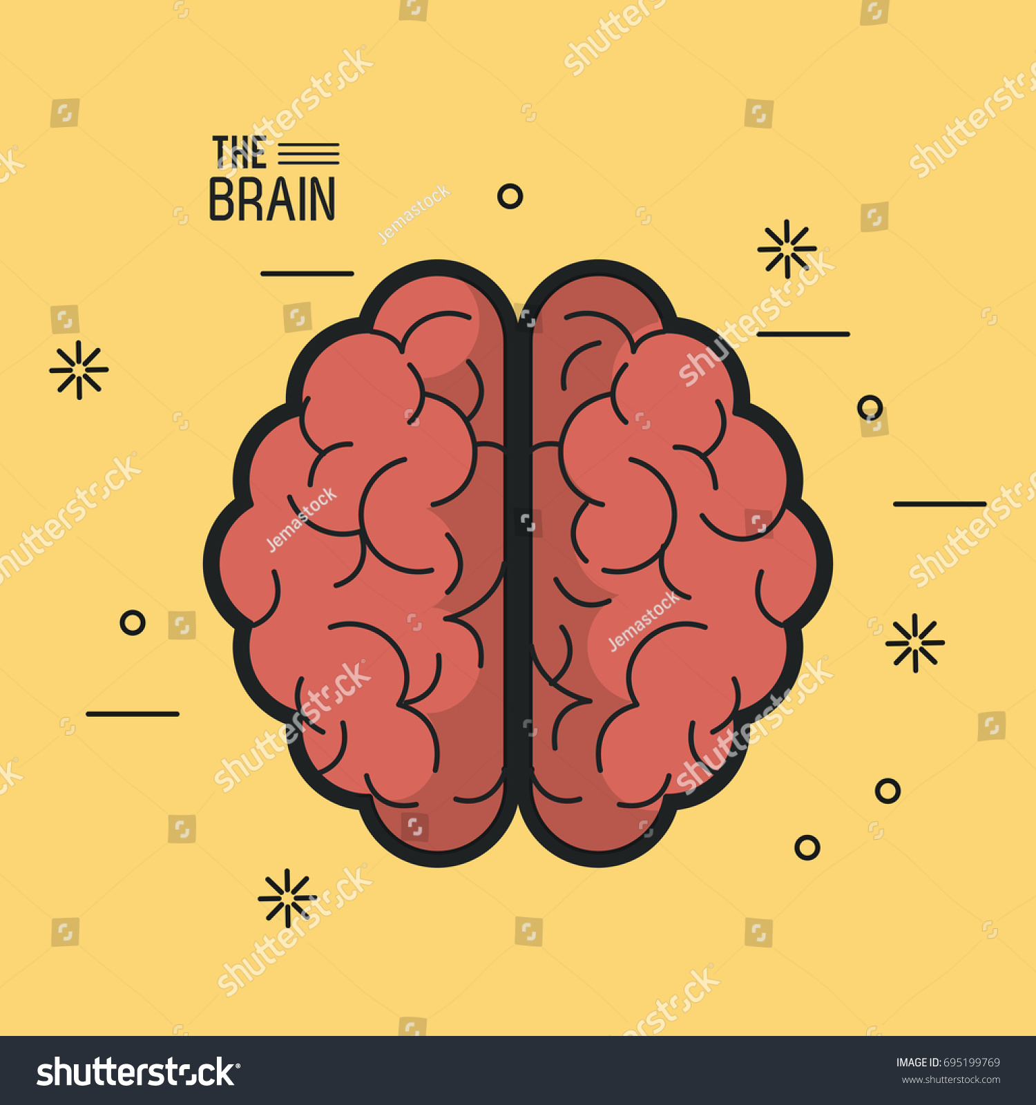 Colorful Poster Brain Top View Two Stock Vector (Royalty Free) 695199769