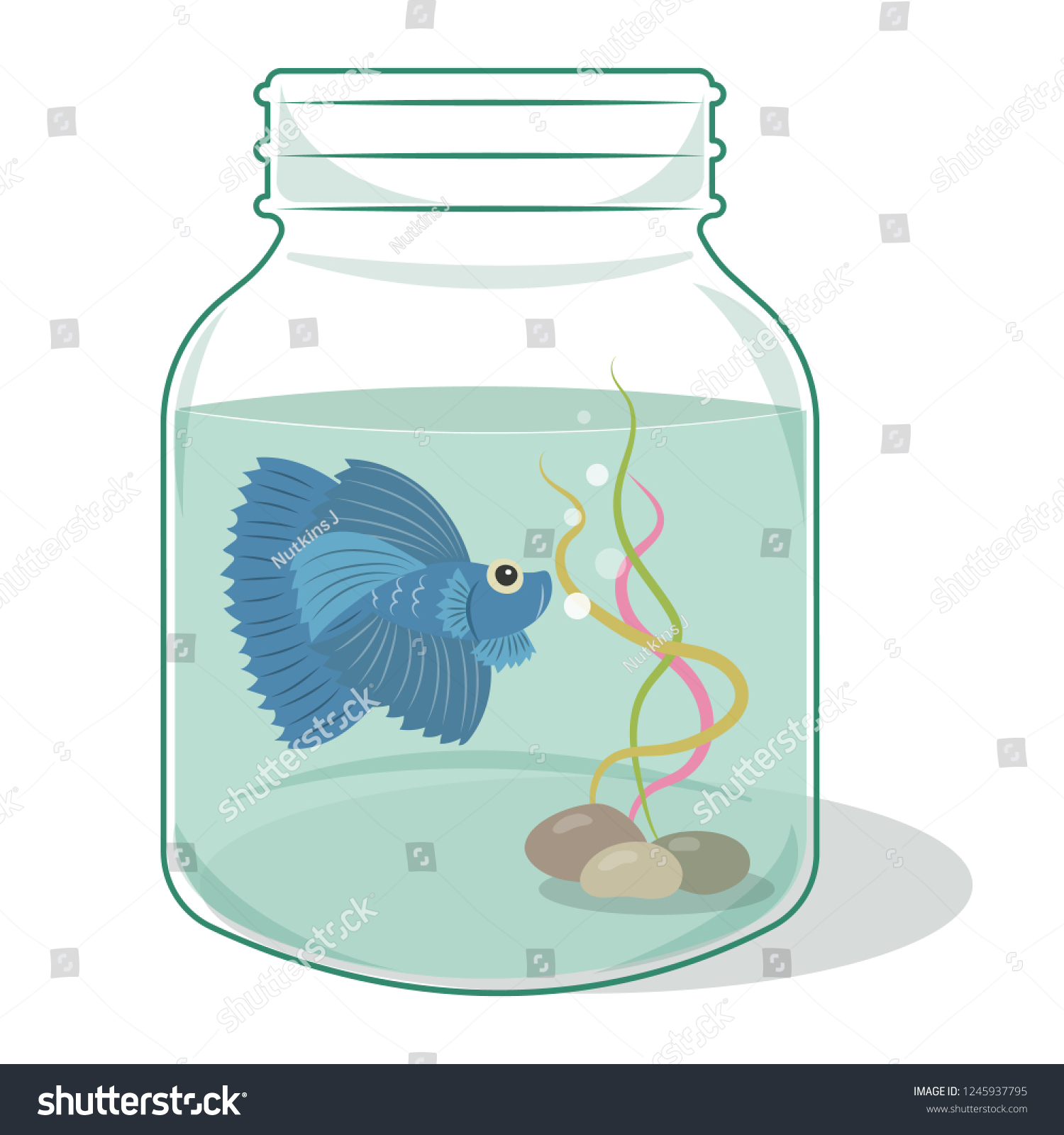 Colorful Siamese Fighting Fish Glass Bottle Stock Vector Royalty Free 1245937795