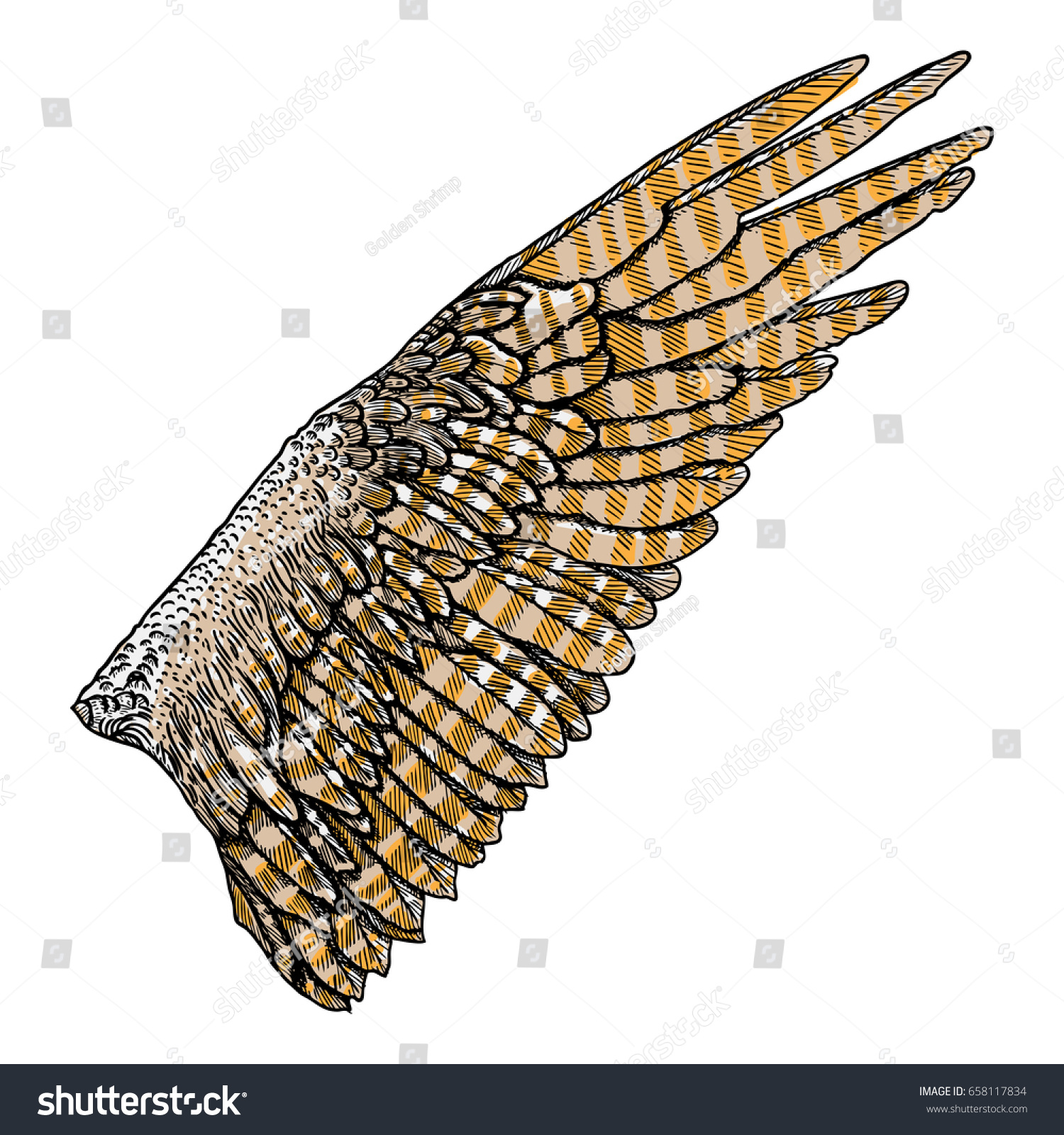 quail hindu singles Good omens of birds if a single girl hears a cock crowing at same time as she is to see on either side or to hear a quail calling is. quail hindu singles Good omens of birds if a single girl hears a cock crowing at same time as she is to see on either side or to hear a quail calling is.