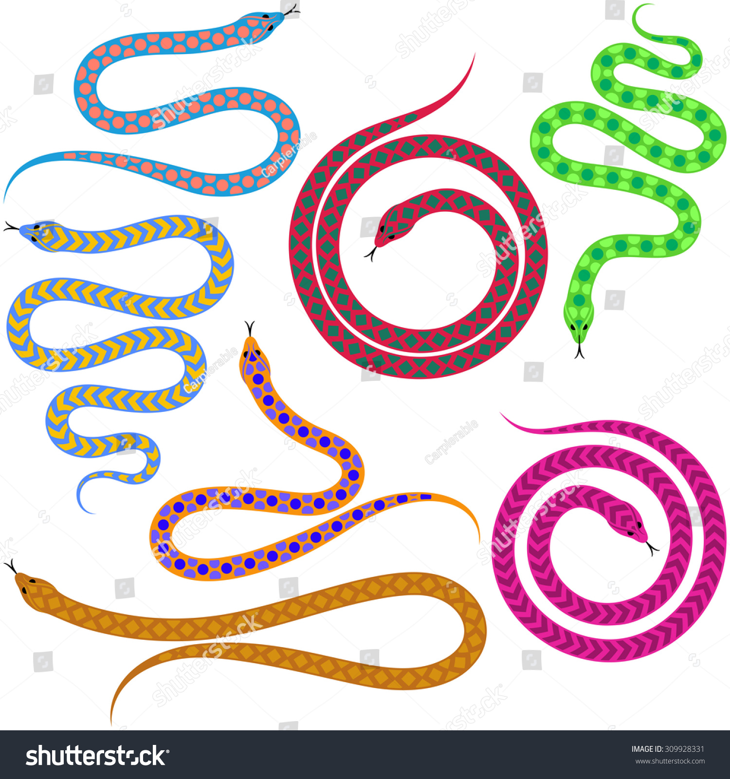 Colorful Snakes With Abstract Motifs Isolated On White Background Stock ...