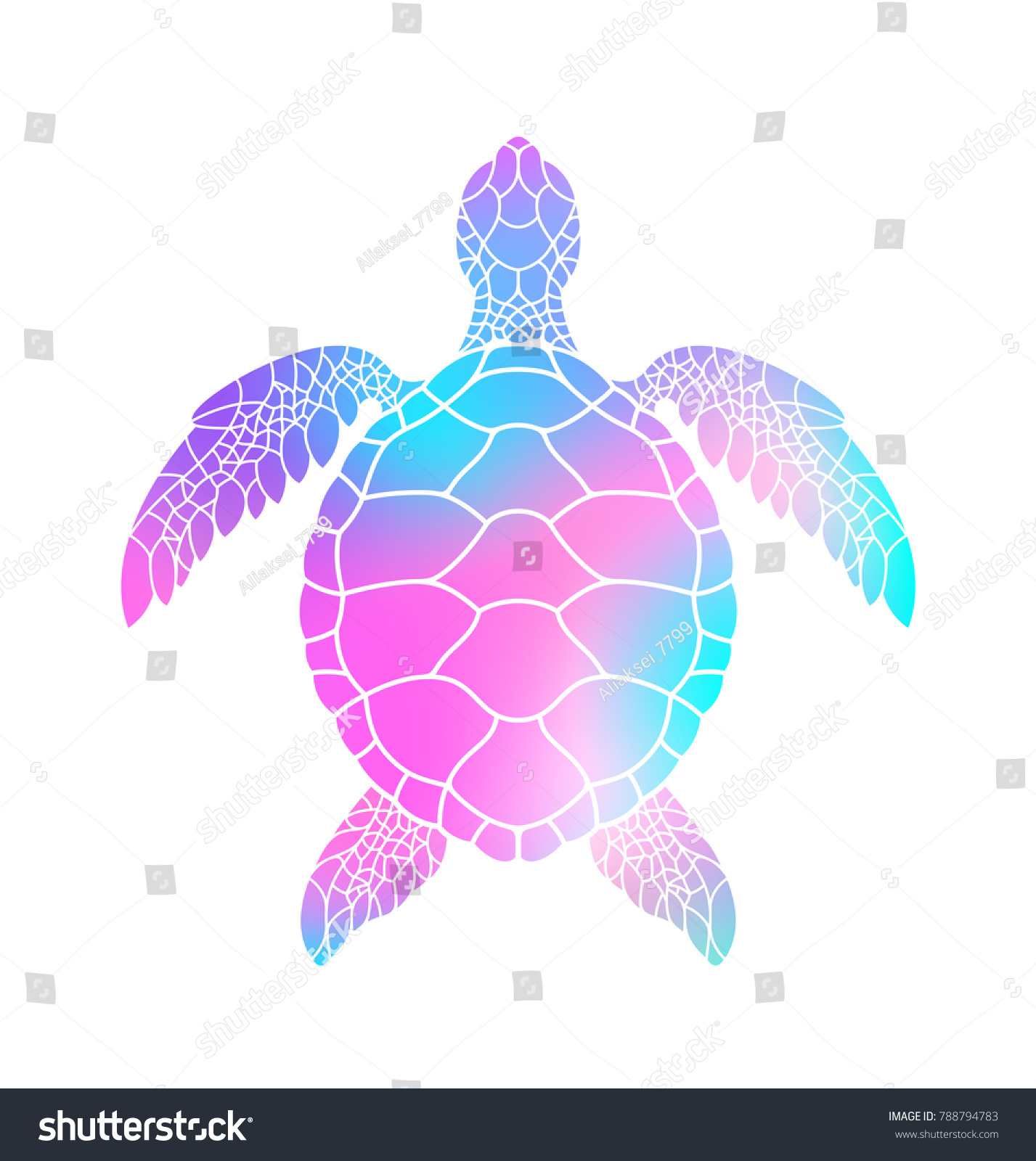 Colorful Turtle Vector Illustration Isolated Turtle Stock Vector ...