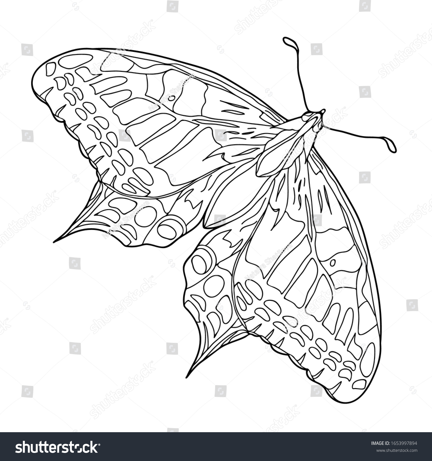 Butterfly Coloring Book Adult Older Children Stock Vector Royalty ...