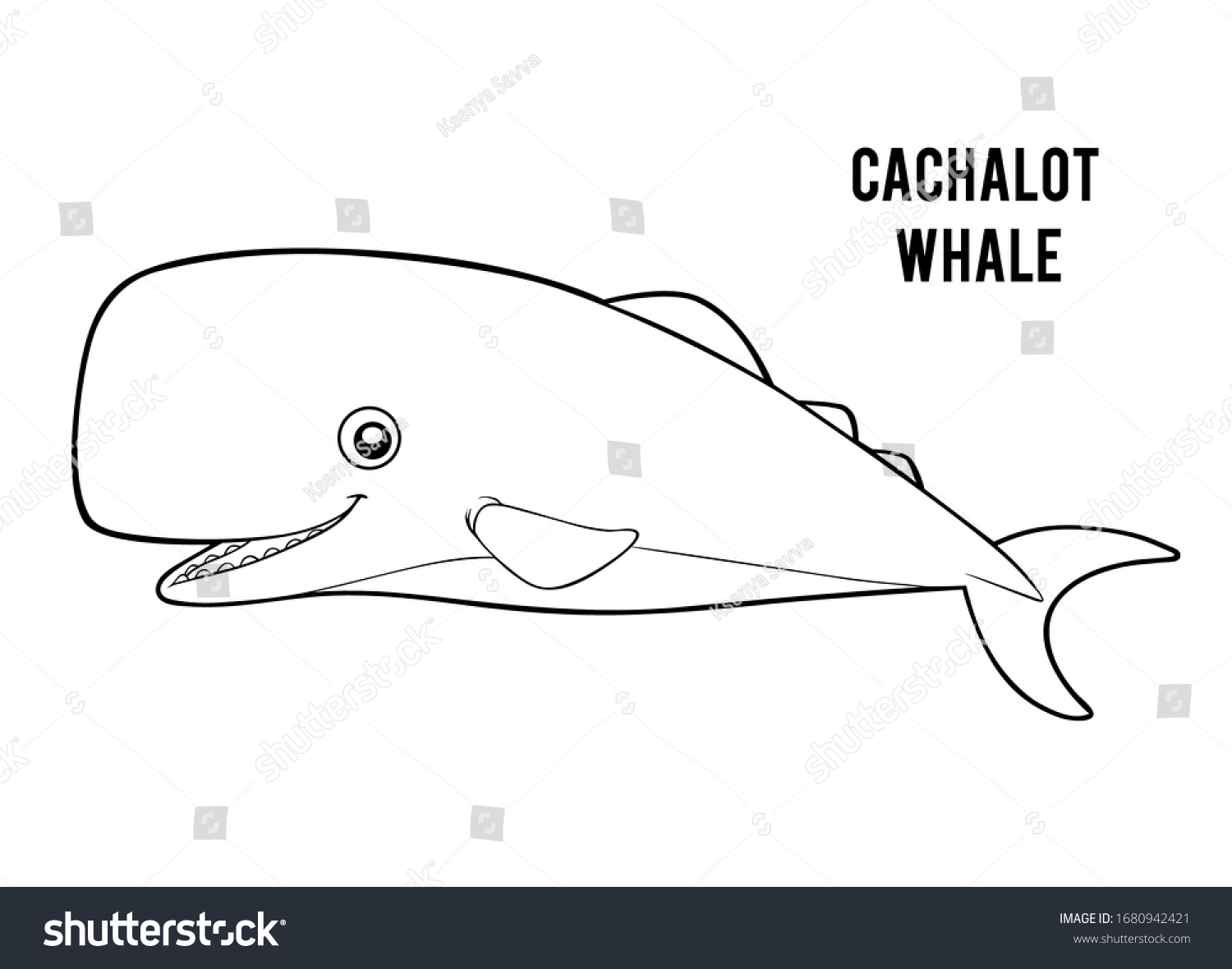 Coloring Book Children Cachalot Whale Stock Vector (Royalty Free
