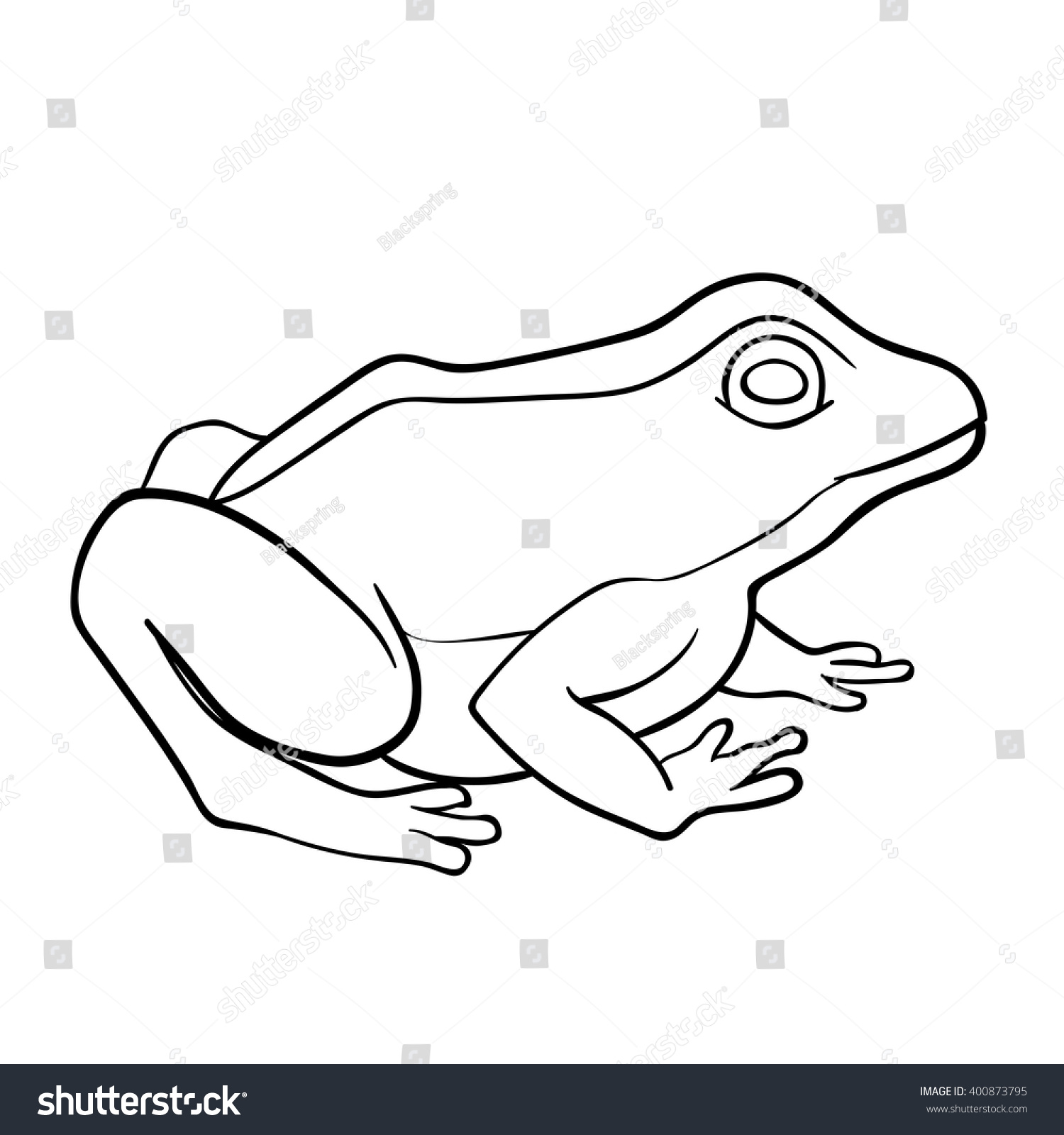 black and white frog outline clip art preview