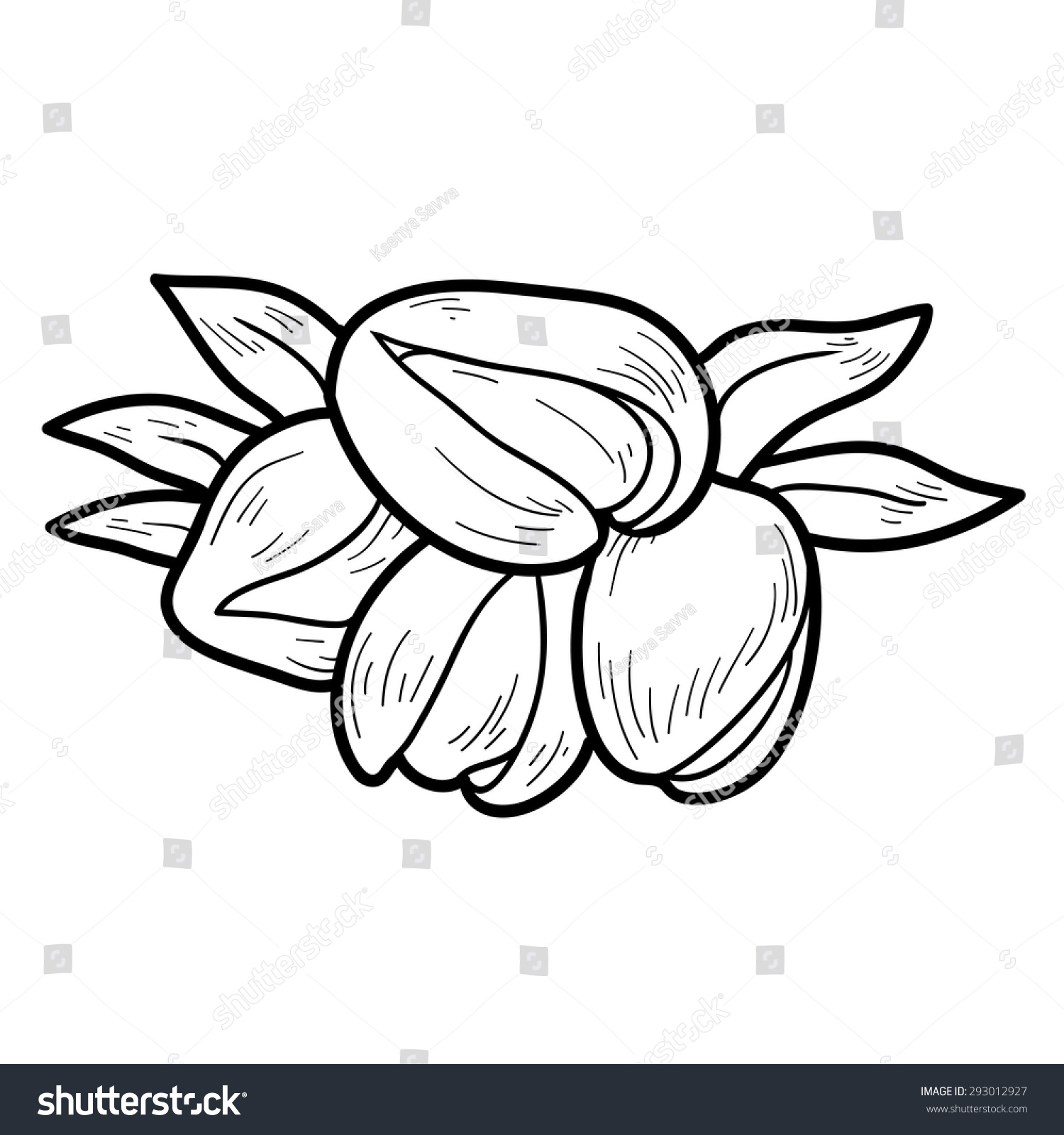 Coloring Book Fruits Vegetables Pistachios Stock Vector (Royalty Free ...