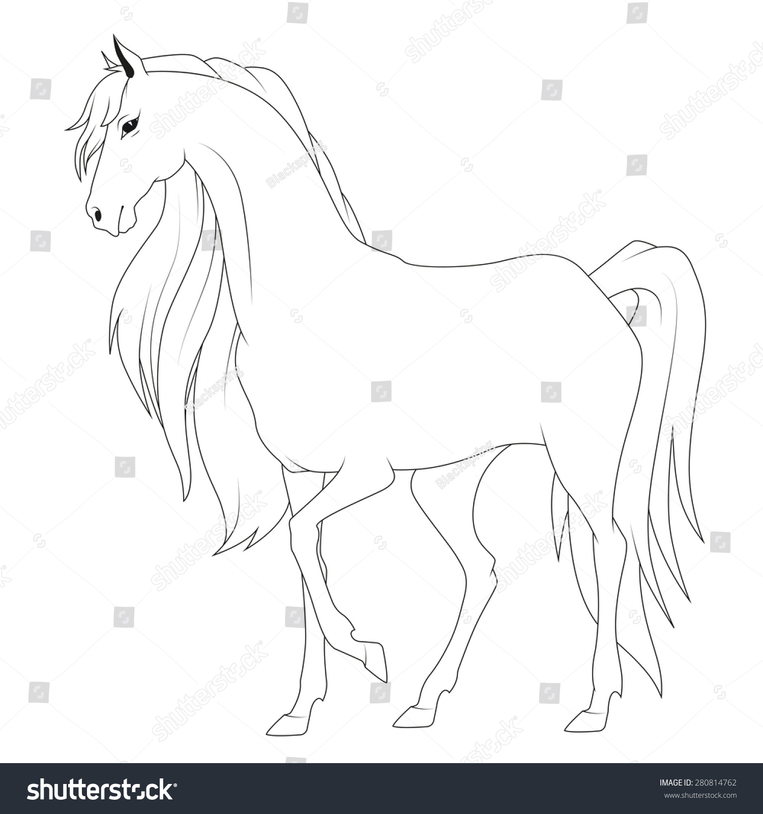 Coloring Book Horse - Youtuf.com Coloring Book Horse - Youtuf.com