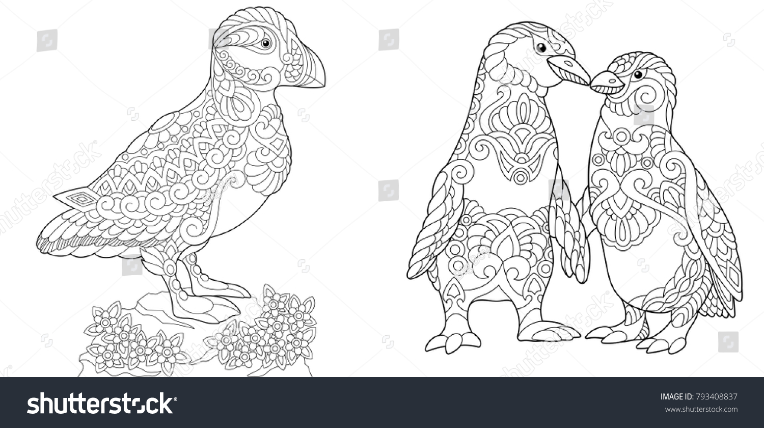 Coloring Page Adult Coloring Book Puffin Stock Vector Royalty Free 793408837