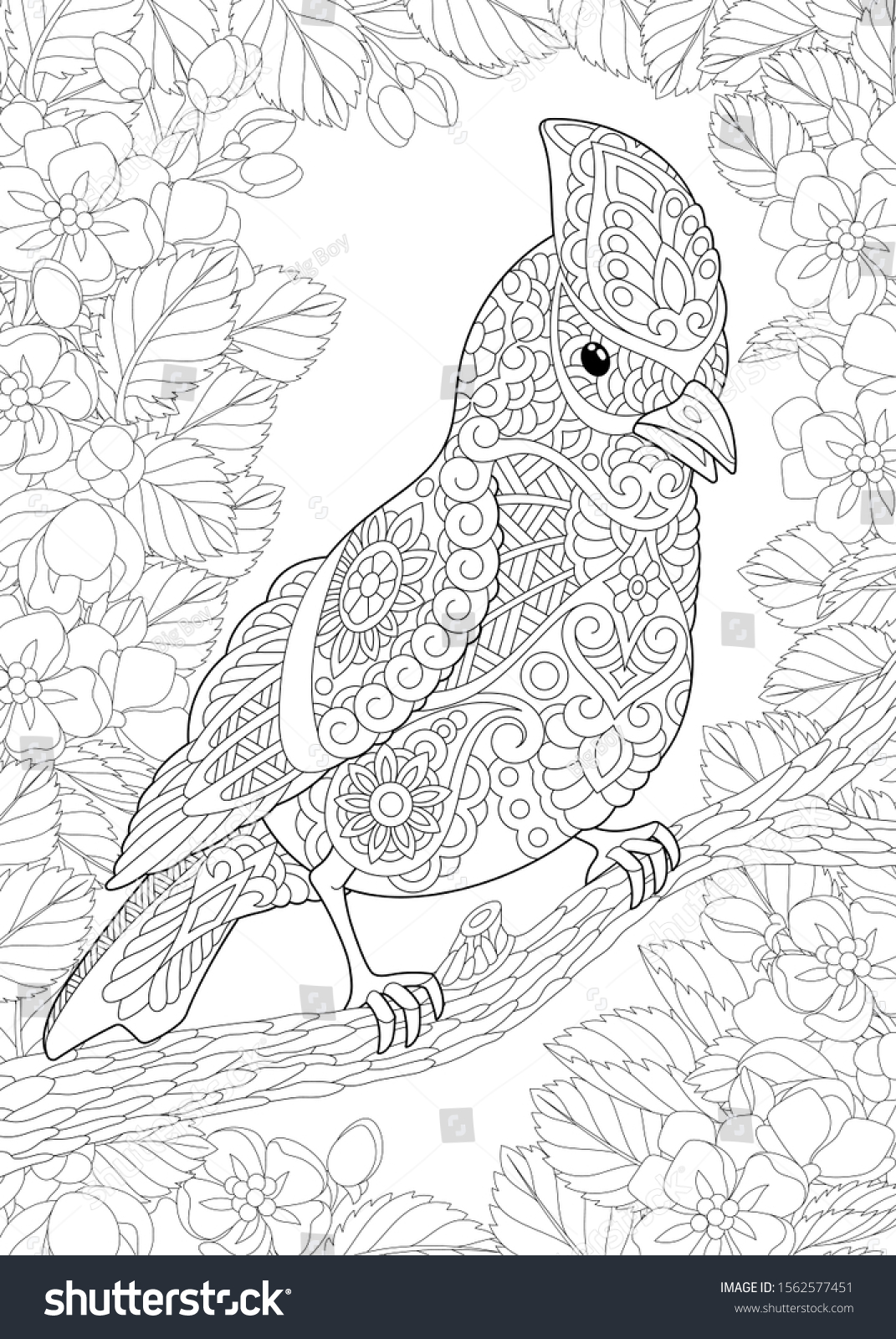 Coloring Page Coloring Picture Beautiful Bird Stock Vector ...