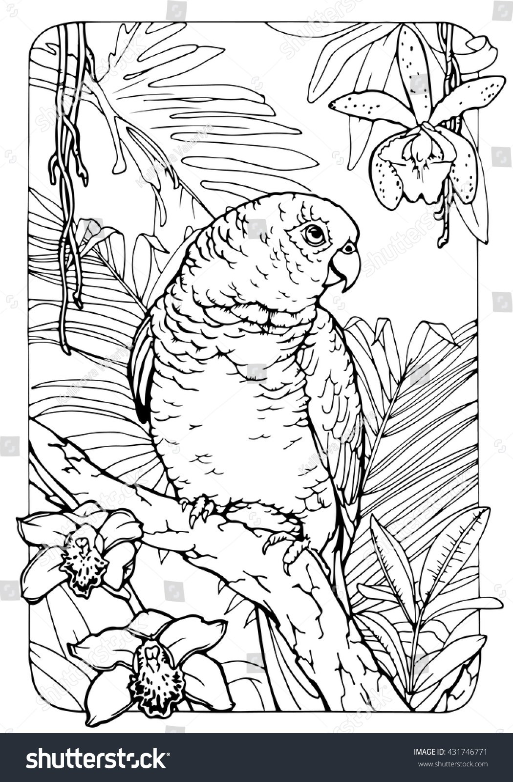 coloring page for adults antistress drawing parrot in jungle