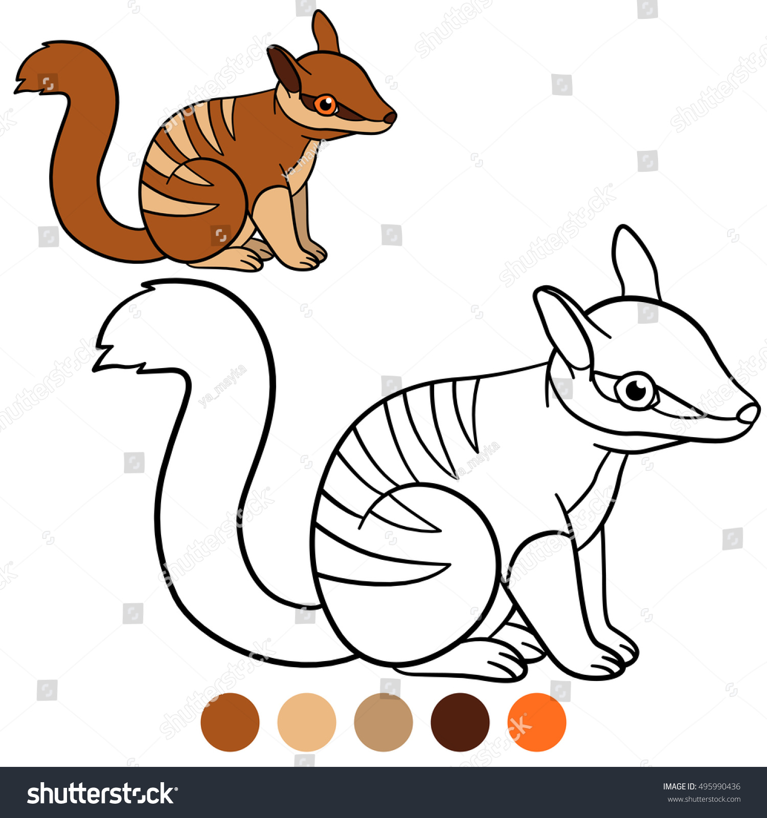 Coloring Page Little Cute Baby Numbat Stock Vector (Royalty Free ...