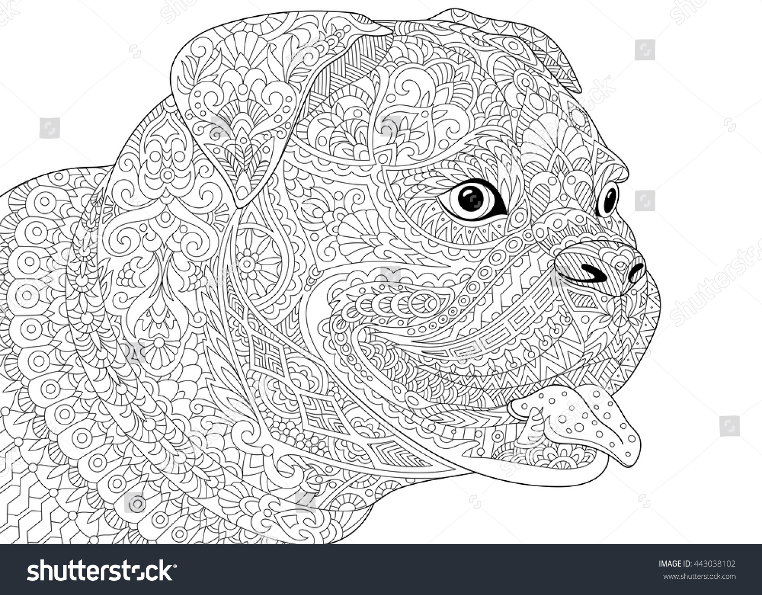Coloring page of german boxer dog symbol of 2018 Chinese New Year Freehand sketch