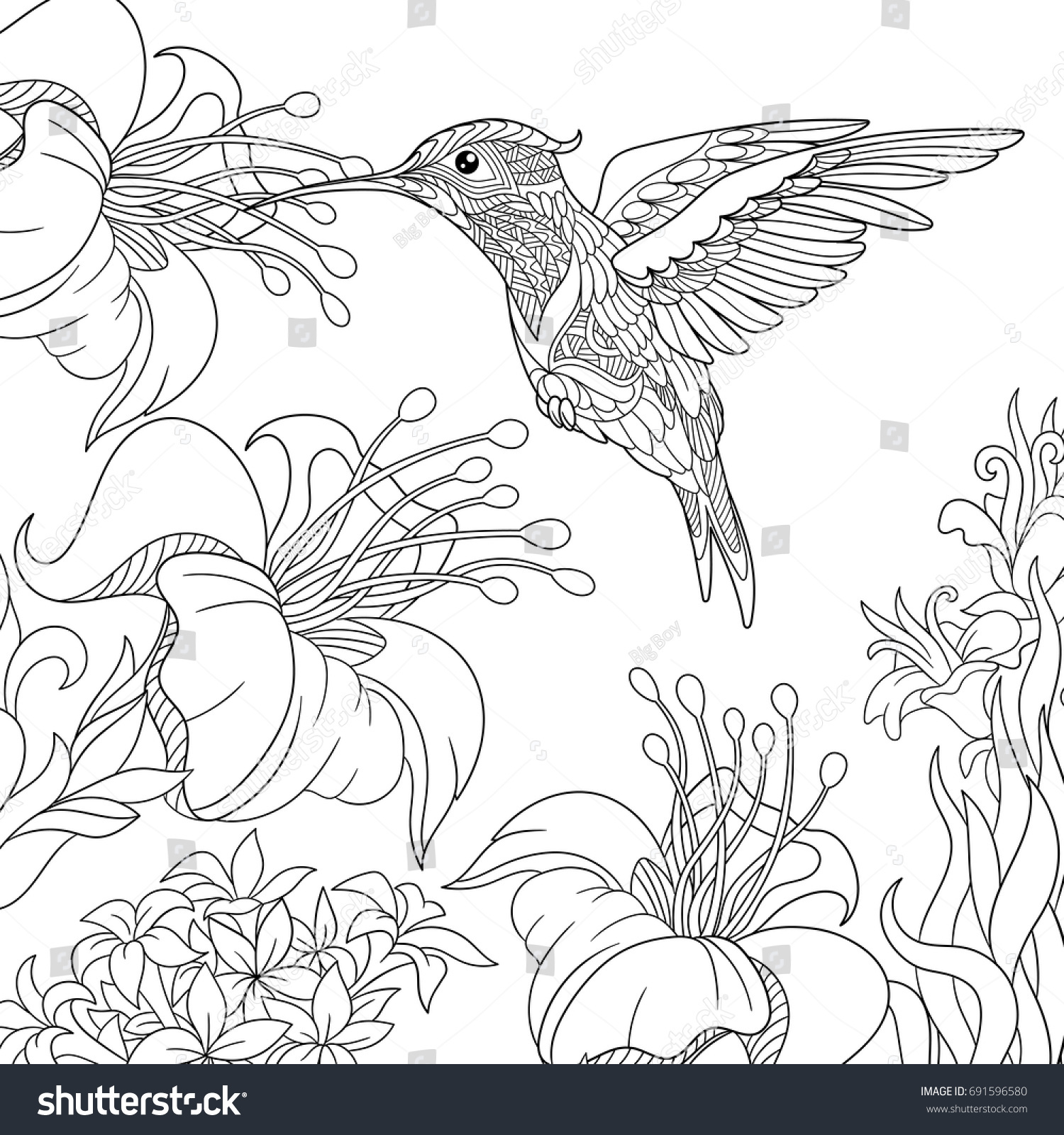 Coloring page of hummingbird and hibiscus flowers Freehand sketch drawing for adult antistress colouring book