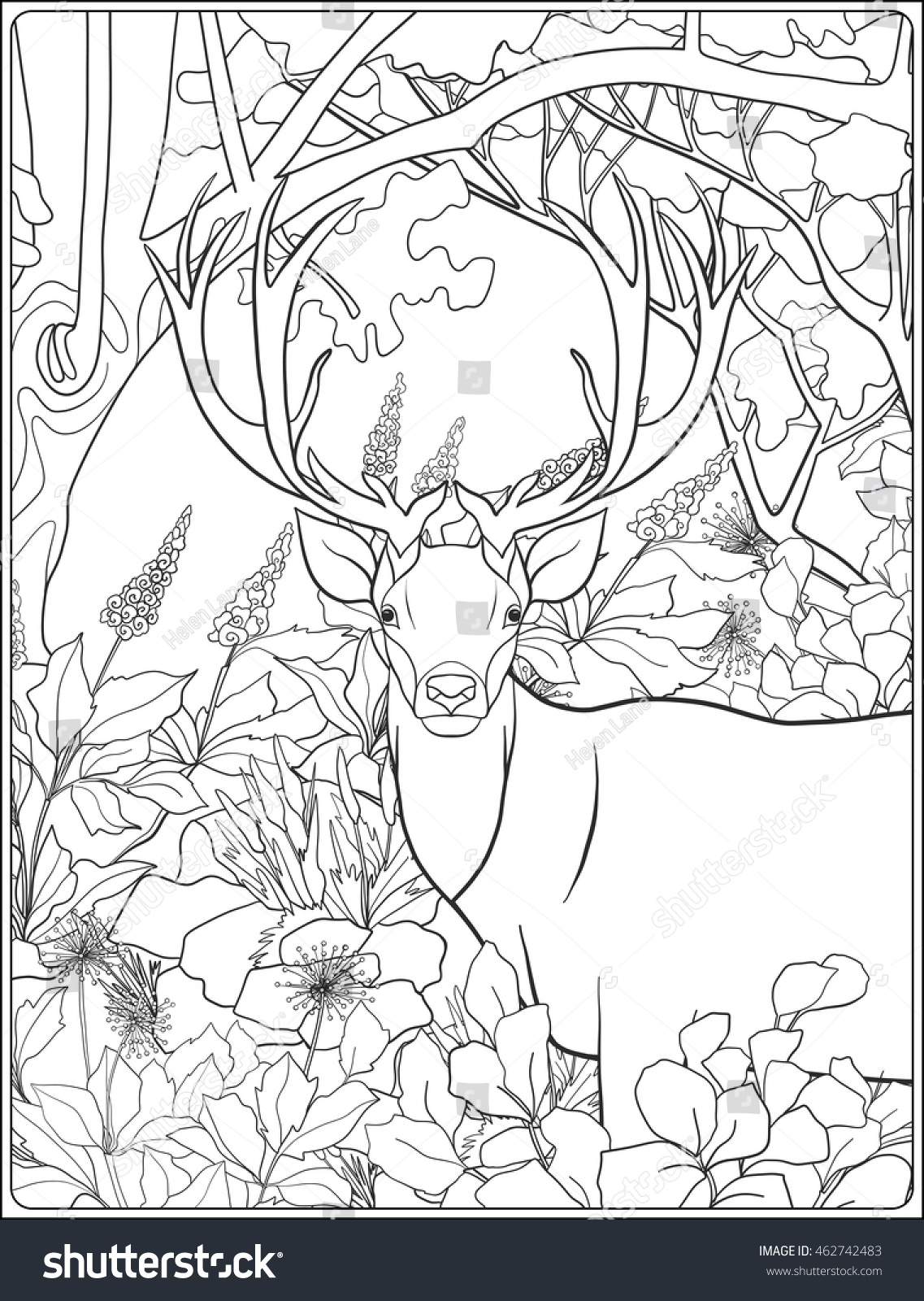 Coloring Page Deer Forest Coloring Book Stock Vector 462742483 - Shutterstock