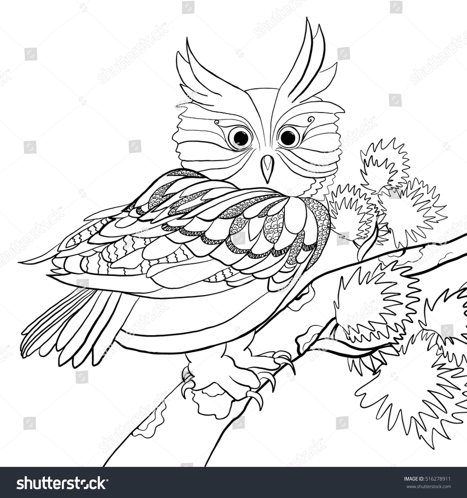 Coloring page with hand drawn cute owl sitting on branch of pine tree Coloring