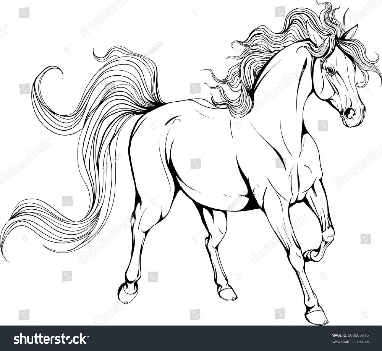 coloring page with horse stock vector illustration 508605916 shutterstock