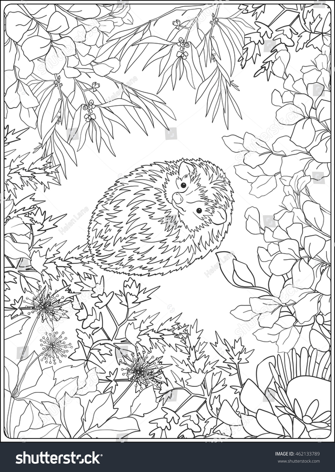 Coloring Page Lovely Hedgehog Garden Coloring Stock Vector ...