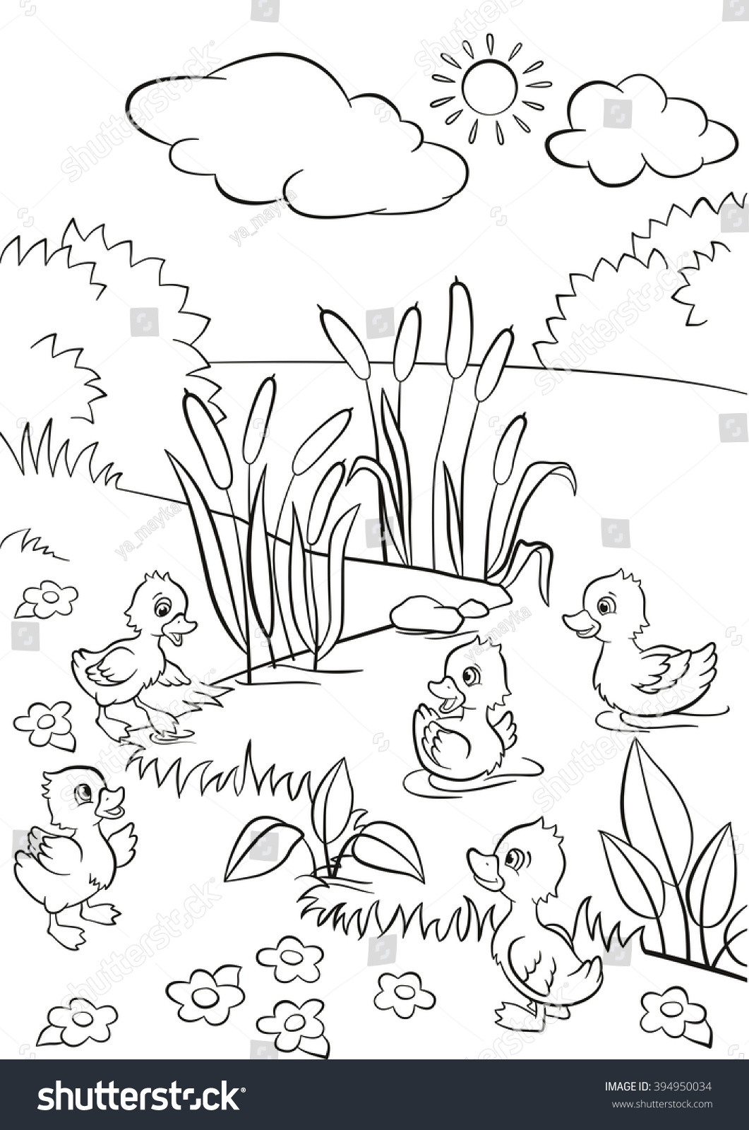 Coloring Pages. Five Little Cute Ducklings Swim On The Lake And Stand ...