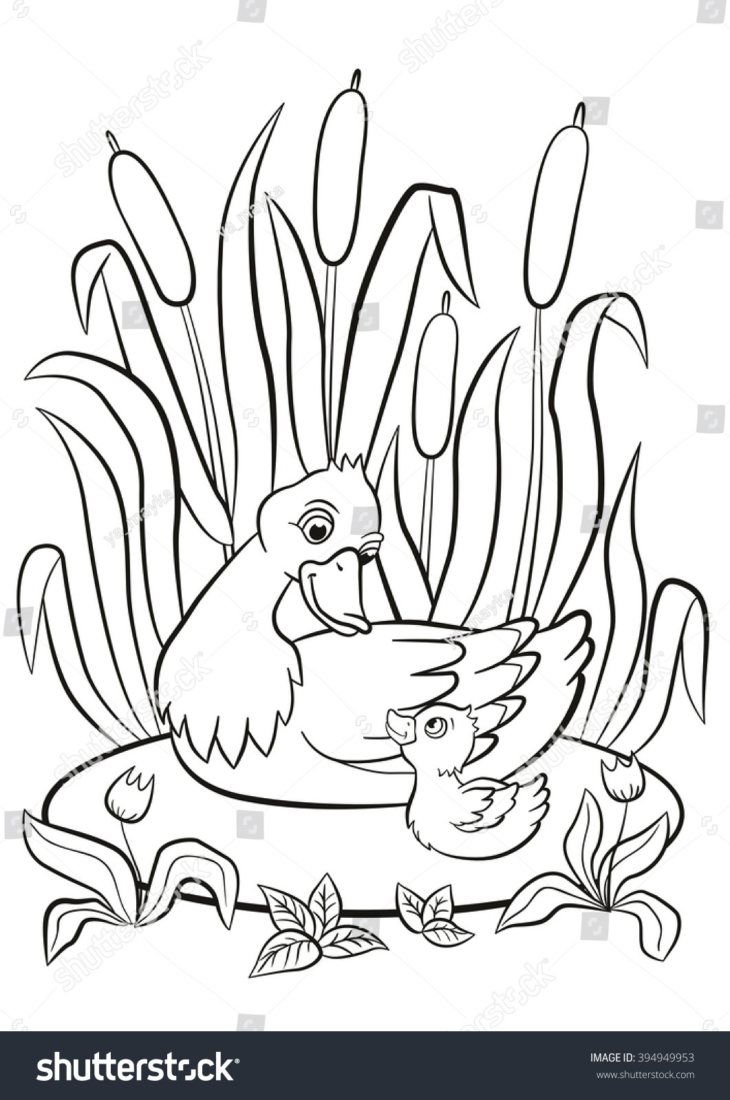 Coloring Pages Kind Duck Little Cute Stock Vector ...