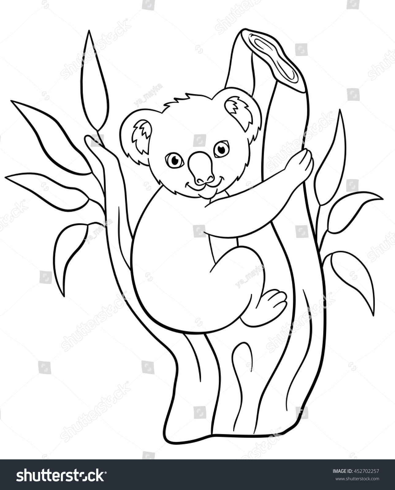 Coloring pages Little cute baby koala sits on the tree branch and smiles