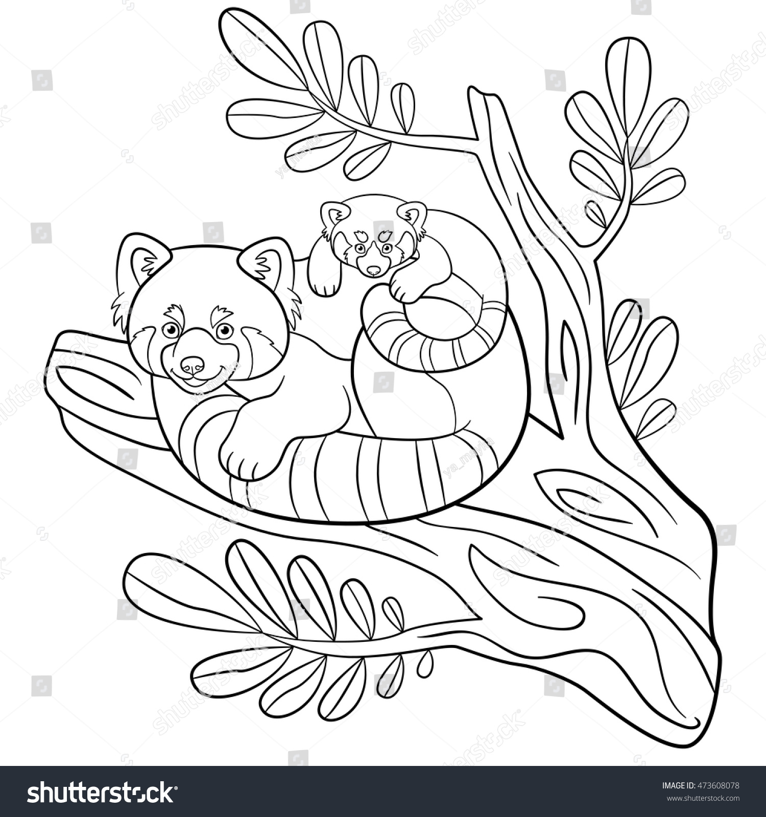 Coloring Pages Mother Red Panda Sits Stock Vector Royalty Free