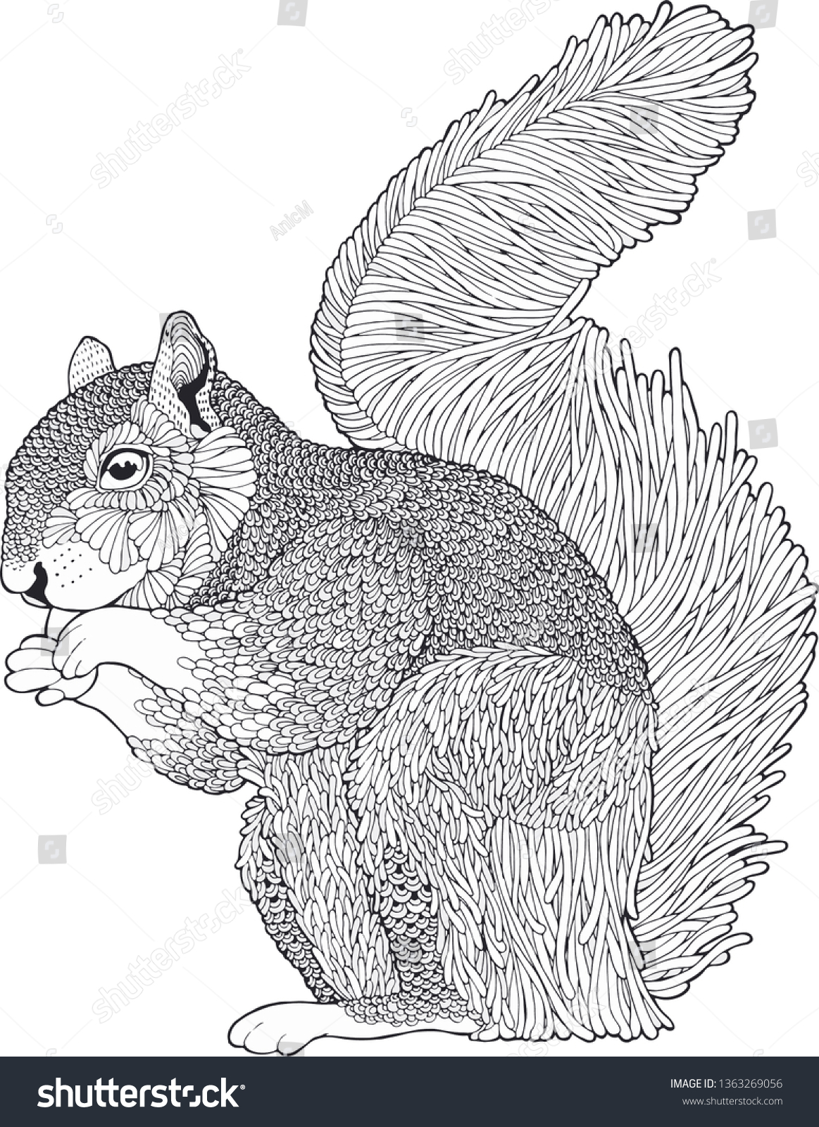 Coloring Pages Squirrel Stock Vector Royalty Free 1363269056