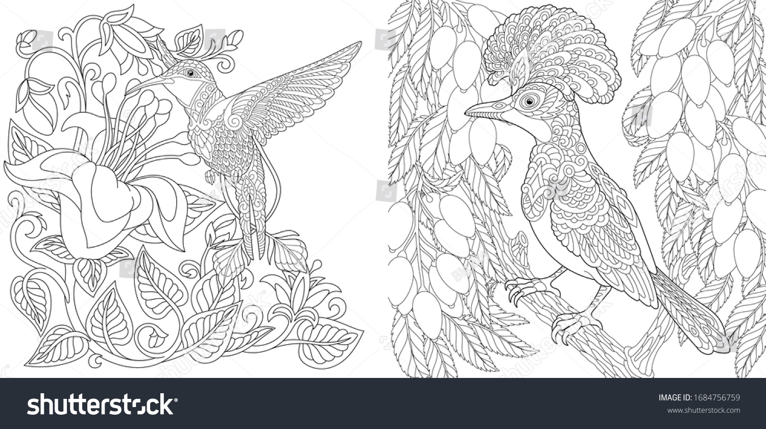 Download Coloring Pages Tropical Birds Set Hummingbird Stock Vector Royalty Free 1684756759
