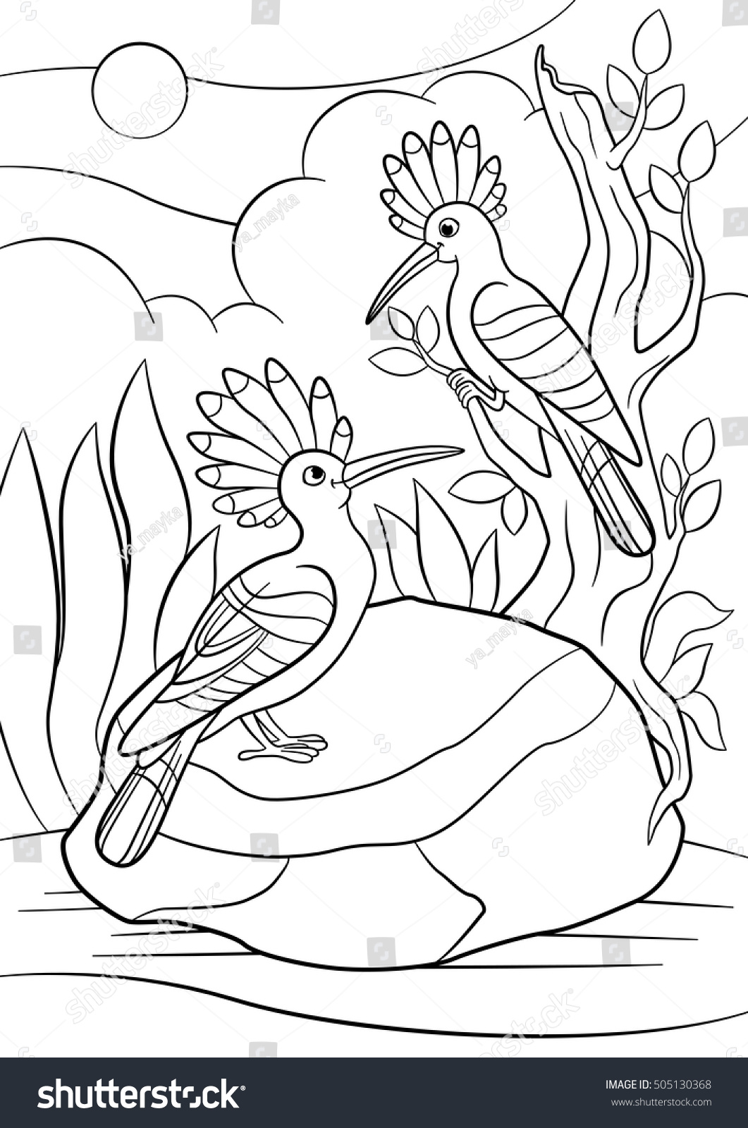 Coloring Pages Two Cute Beautiful Hoopoes Stock Vector 505130368 Coloring Pages Two Cute Beautiful Hoopoes Stock Vector 505130368