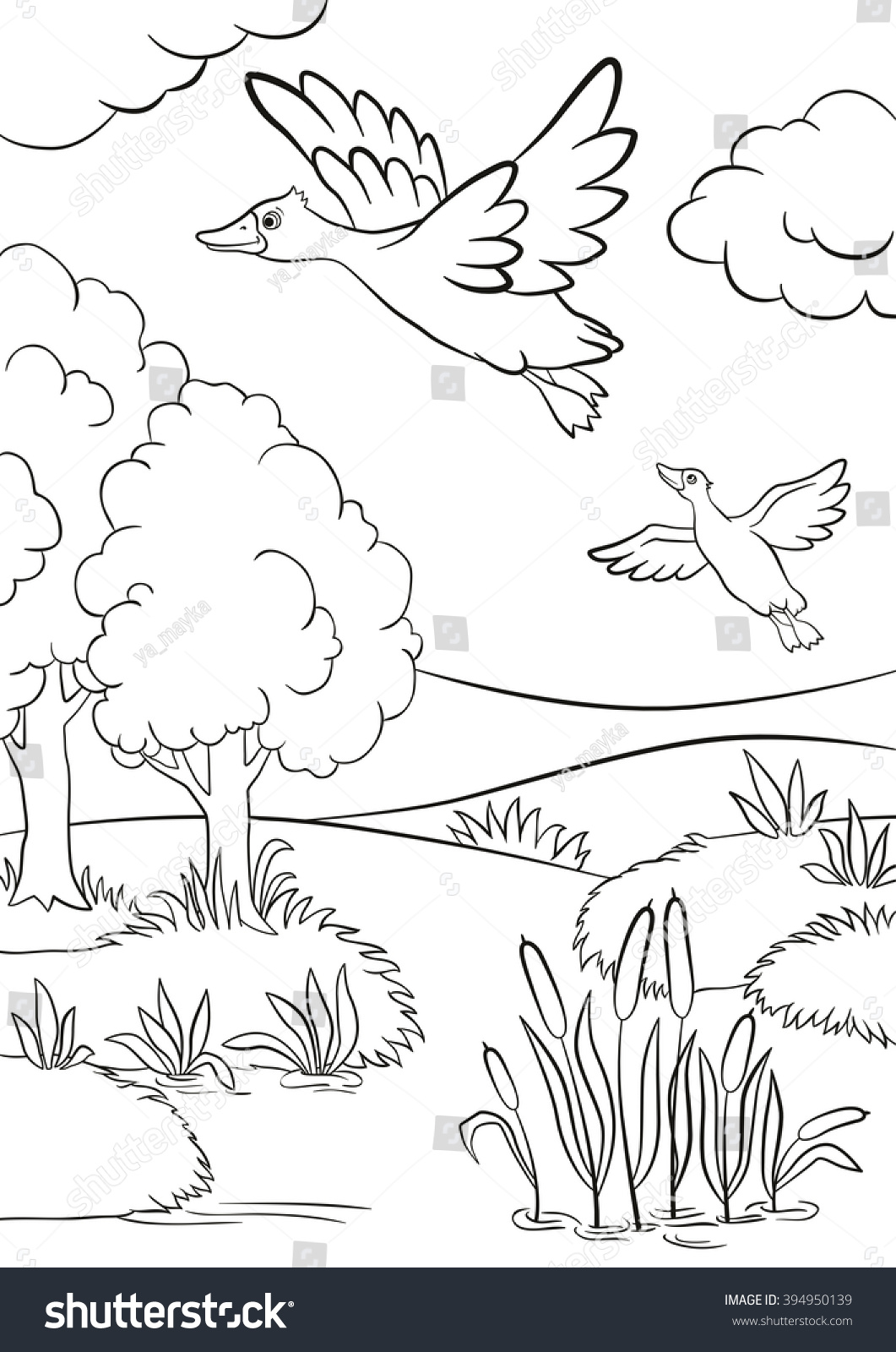 Coloring pages Two ducks fly under the lake Lake in in the forest