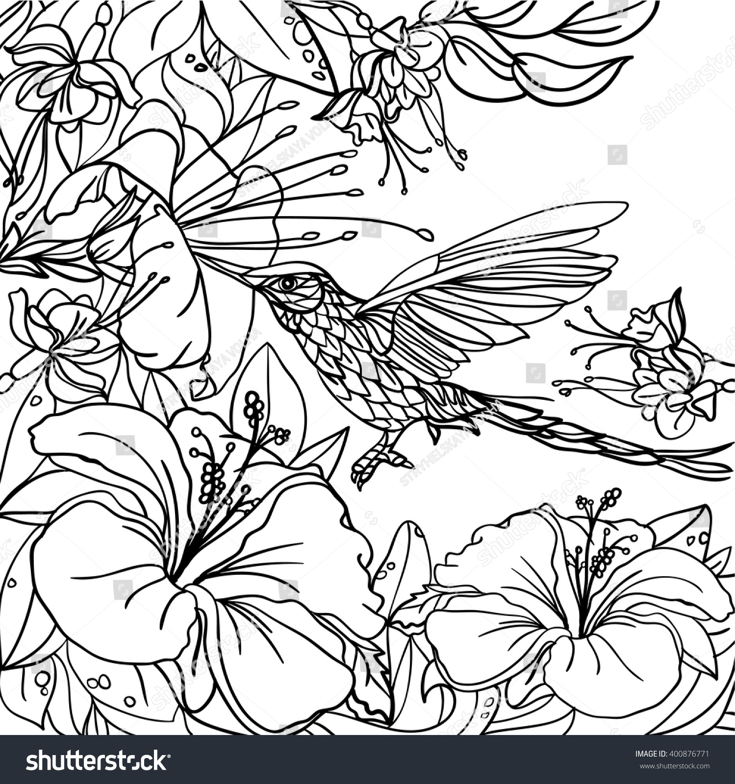 Coloring Pages Tropical Birds Flowers Leaves Stock Vector Background