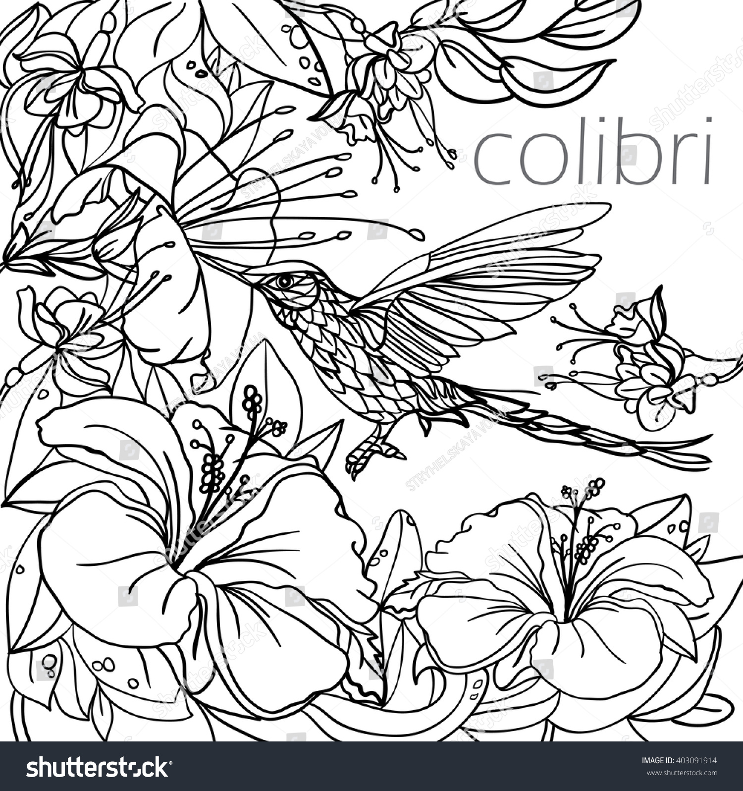 Coloring Pages Tropical Birds Flowers Leaves Stock Vector