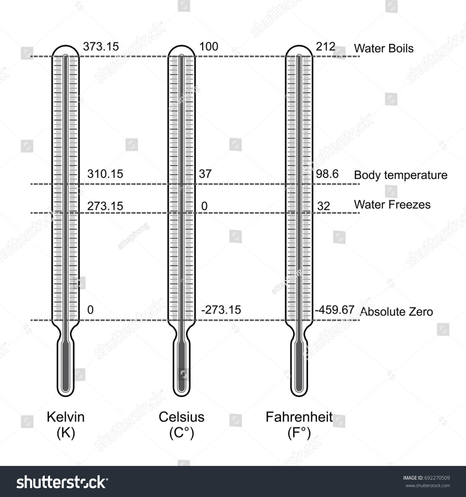 comparison-three-temperature-scales-vector-illustration-vector-de