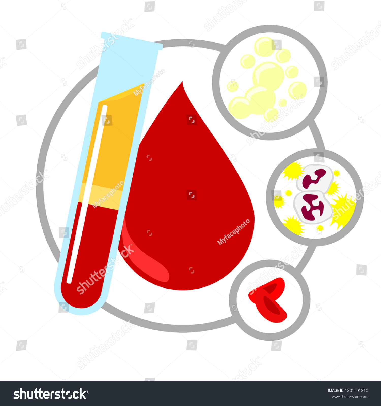 Composition Human Blood Blood Components Red Stock Vector Royalty Free 1801501810