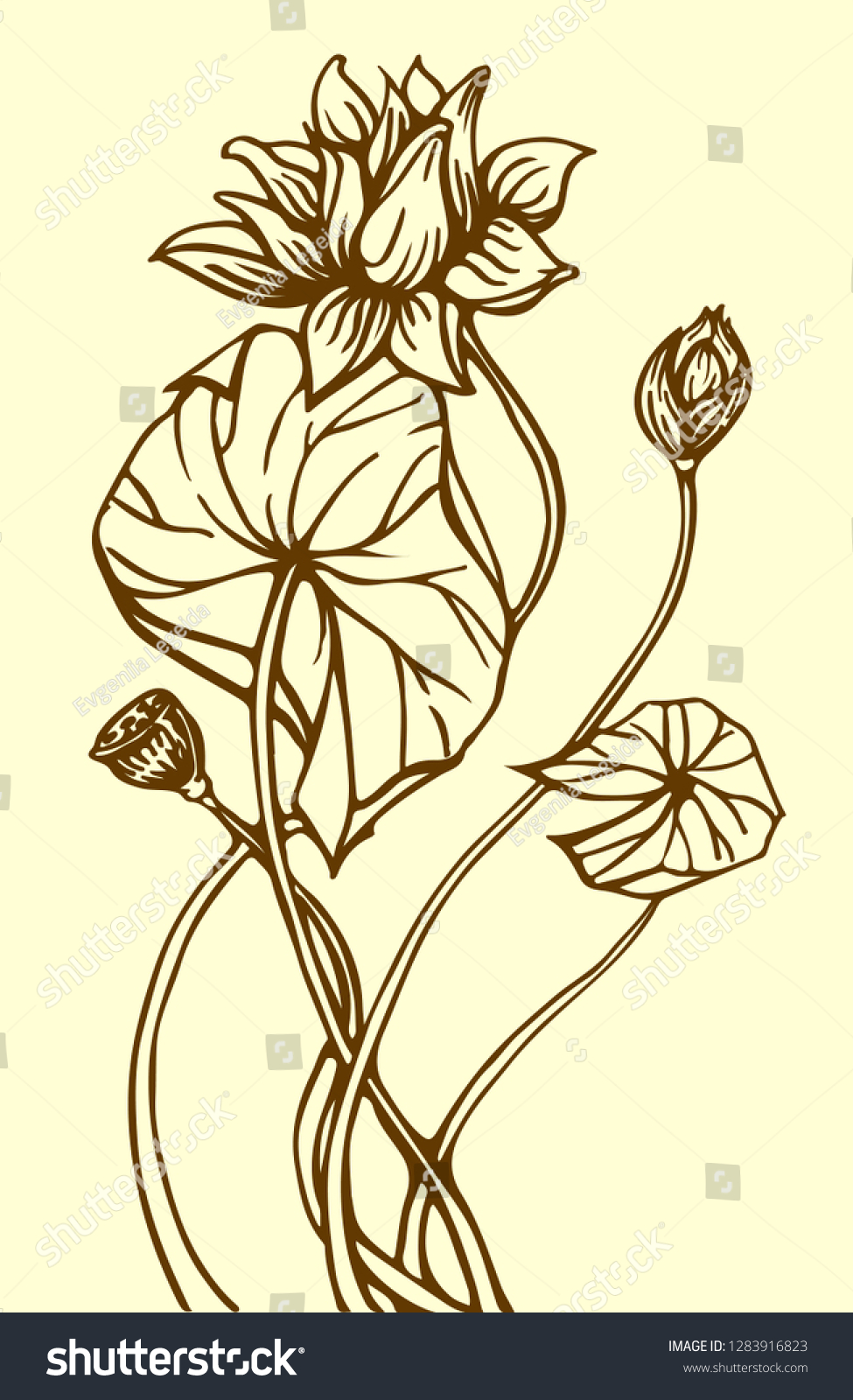 Composition Lotus Flower Leaves Hand Drawn Stock Vector Royalty Free 1283916823 Shutterstock 1359