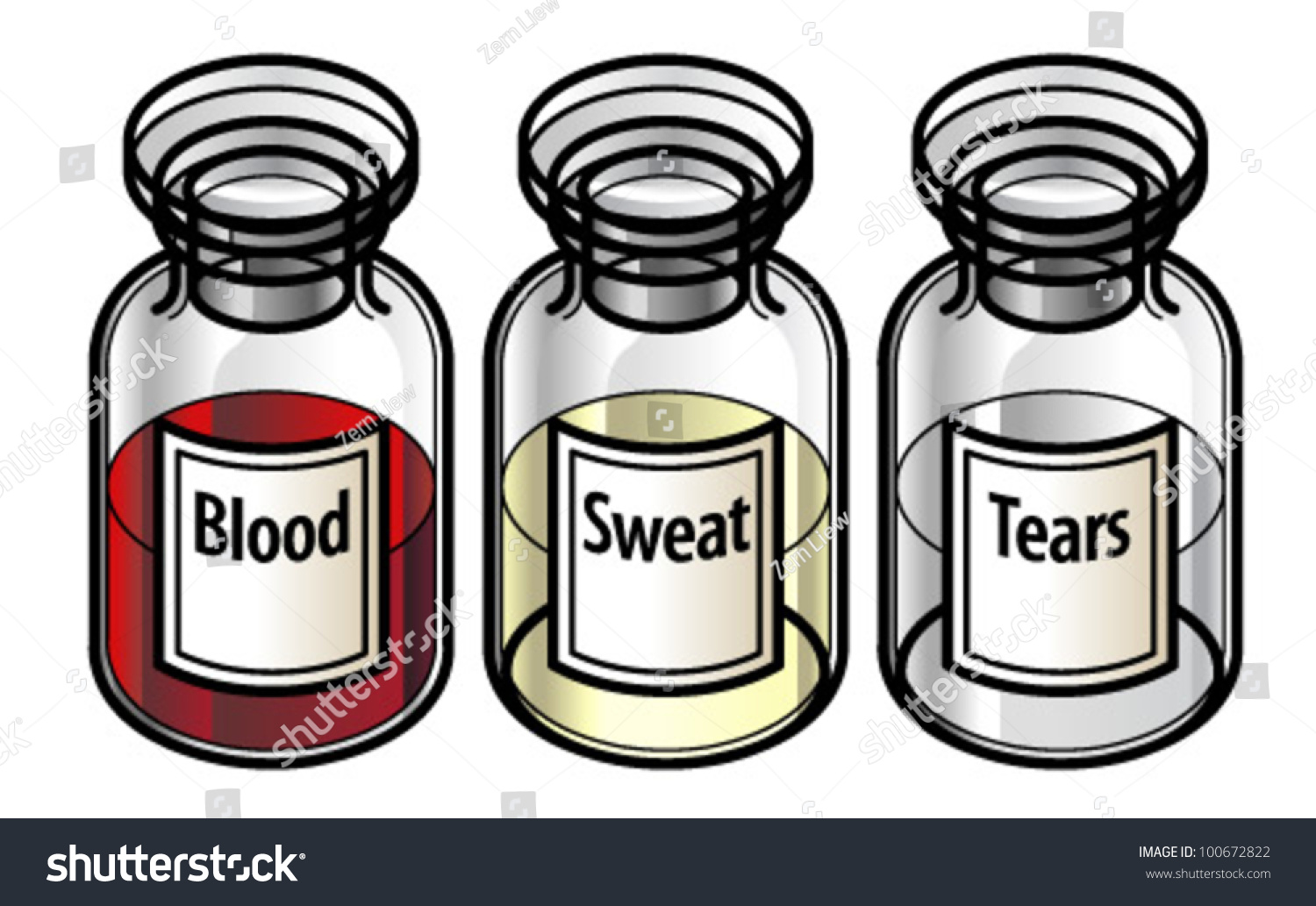 Blood Sweat Tears 피 땀 눈물 - Color Coded Lyrics