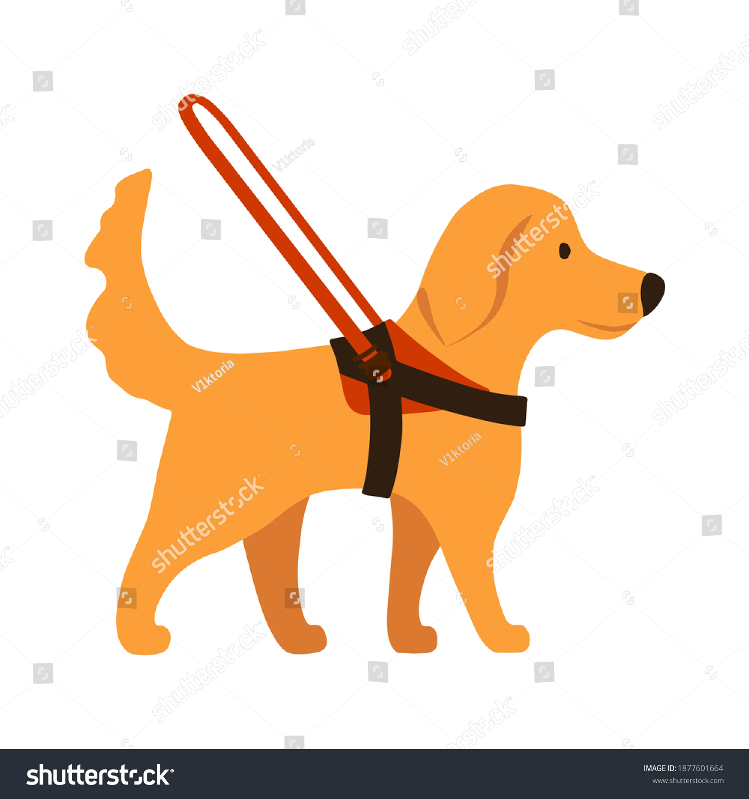 SVG of Concept of guide dog leads with harness and long handle cartoon style. Golden Retriever isolated on white background. Flat design for poster, banner, flyer, web, mockup, business, company,  sign. svg